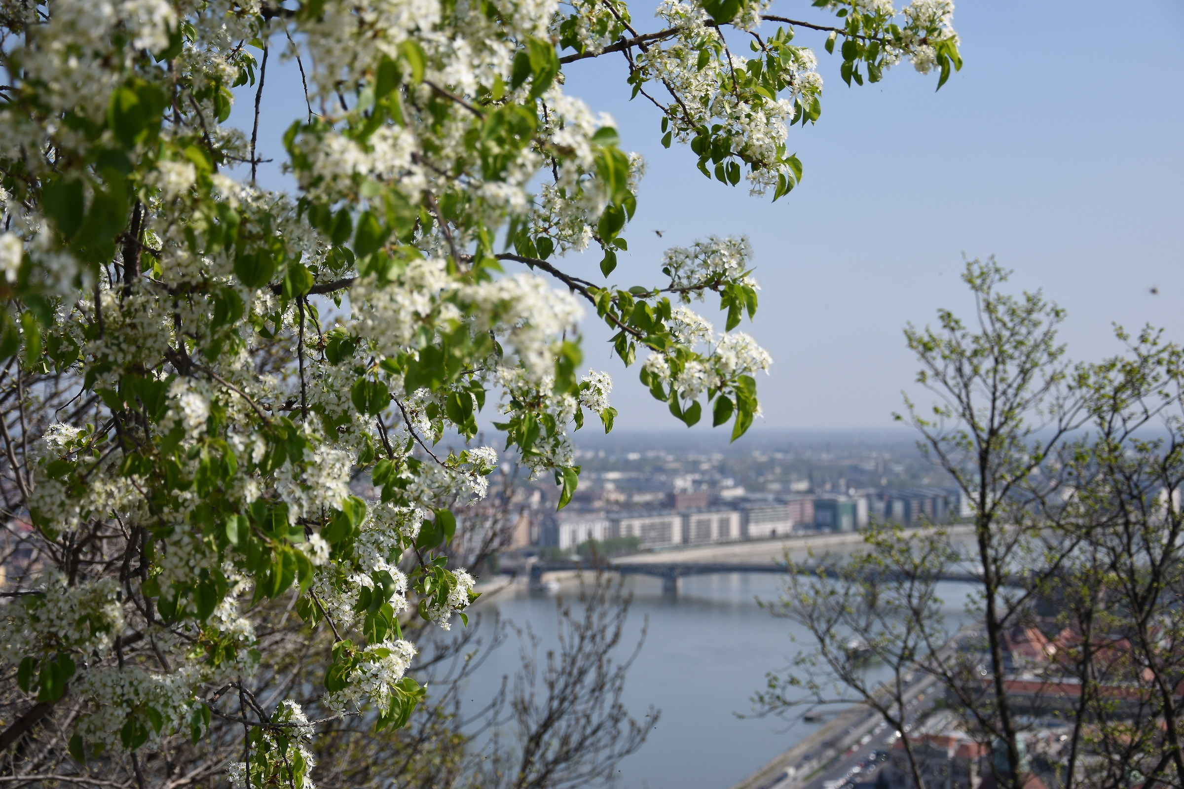View from the Citadel...