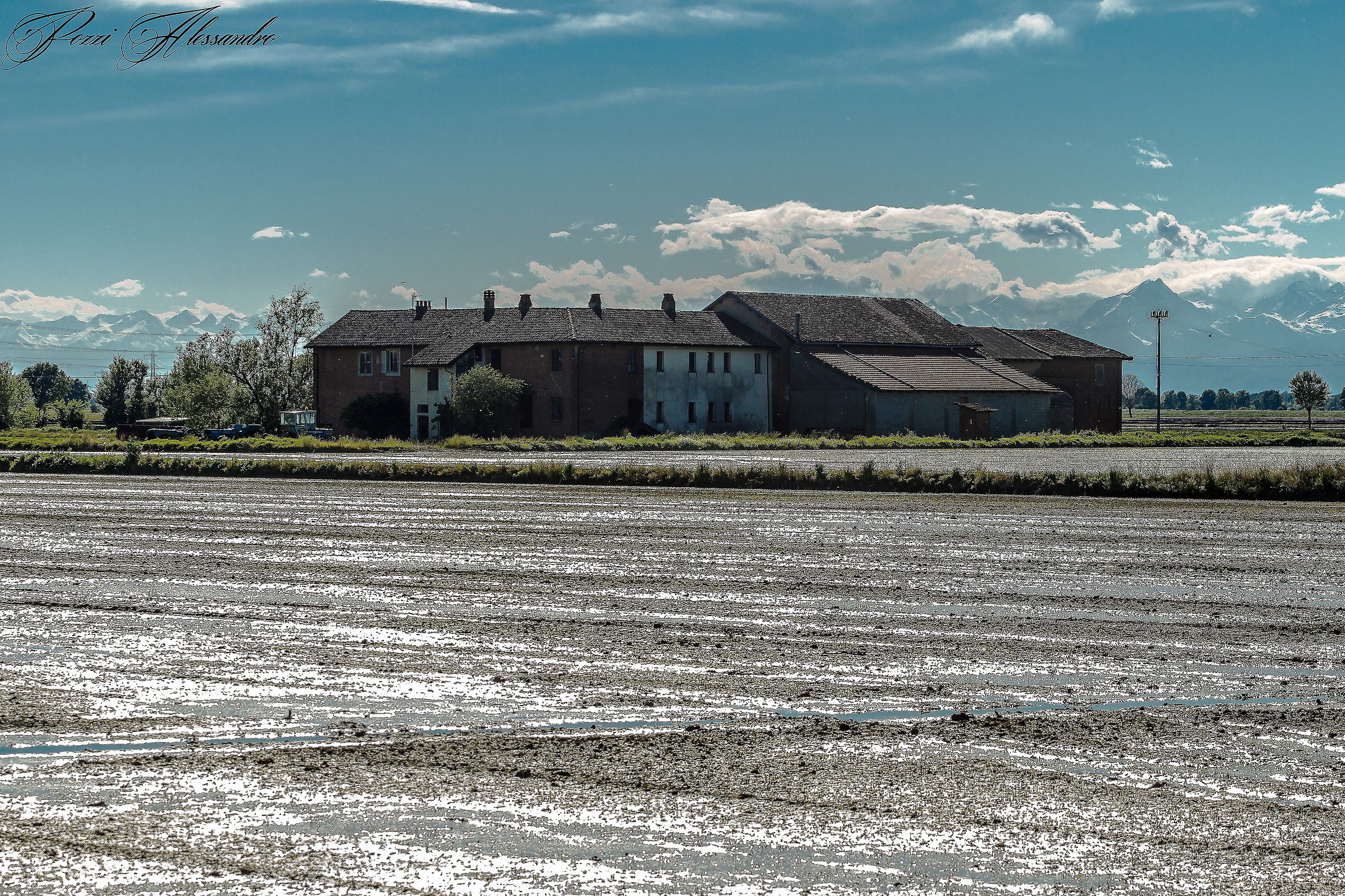 Rice fields 2...