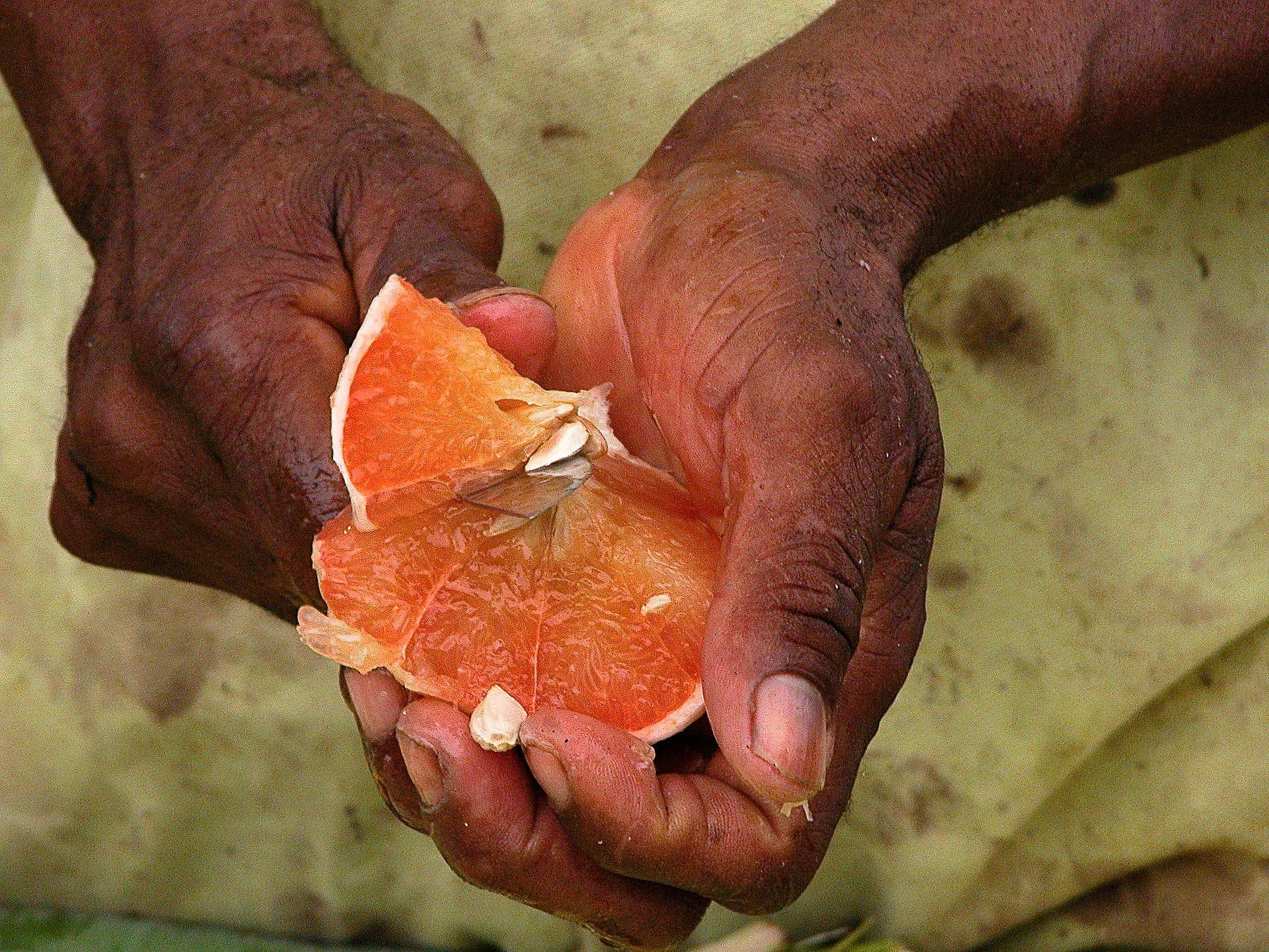 The fruit in the hands...