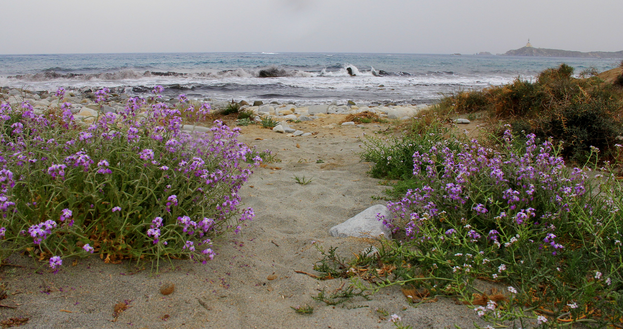 Spiaggia in veste primaverile...