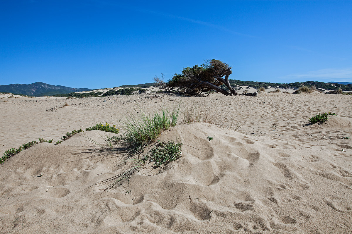 The dunes at Piscinas...