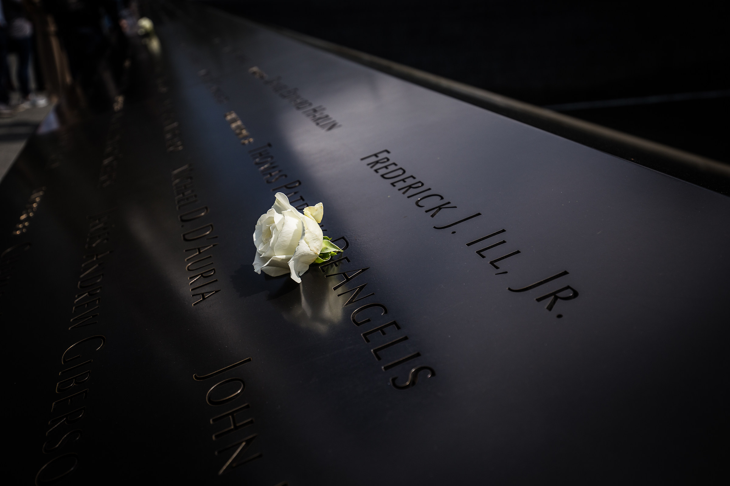 9/11 - White Commemorative Rose...