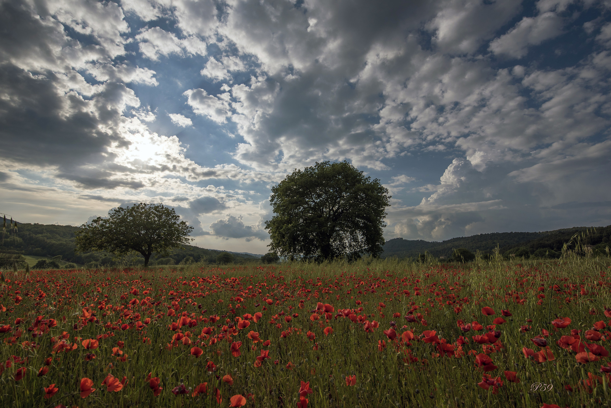 Val di Merse...