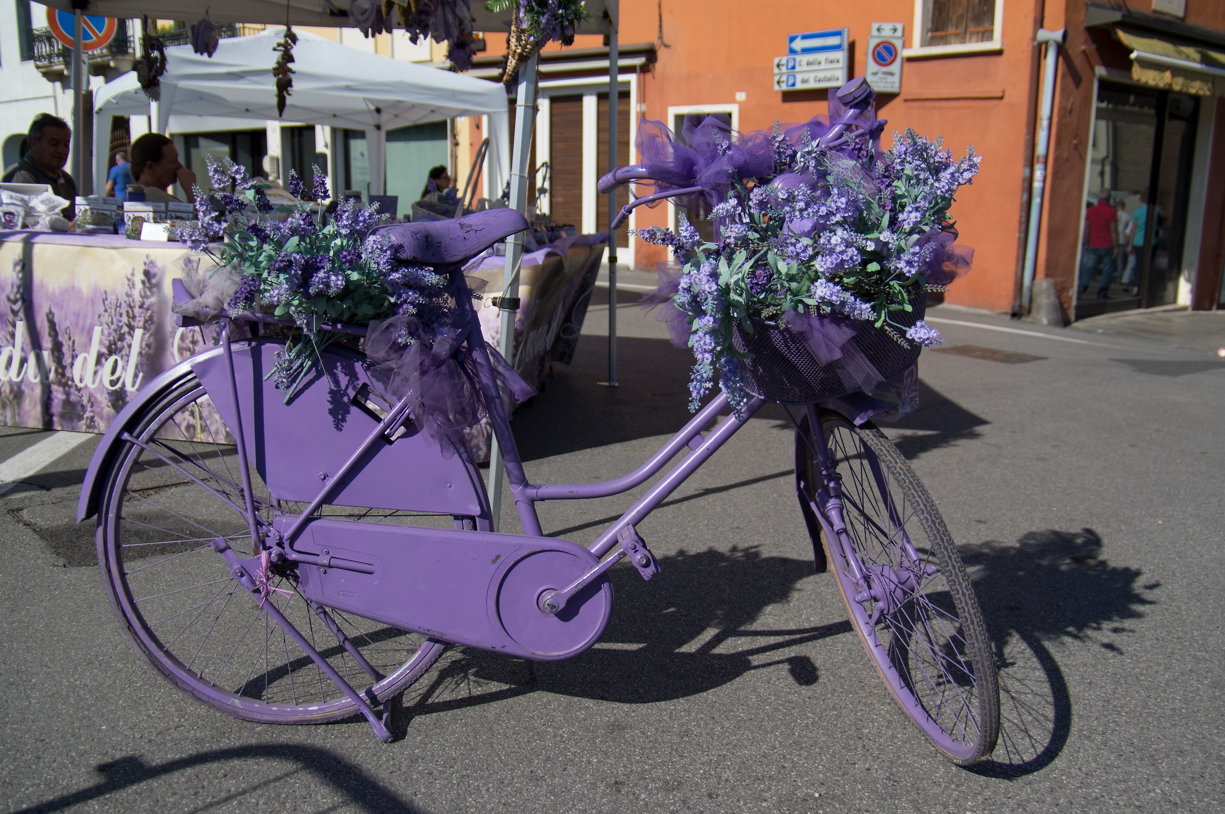 Colorful Lavender Bike...