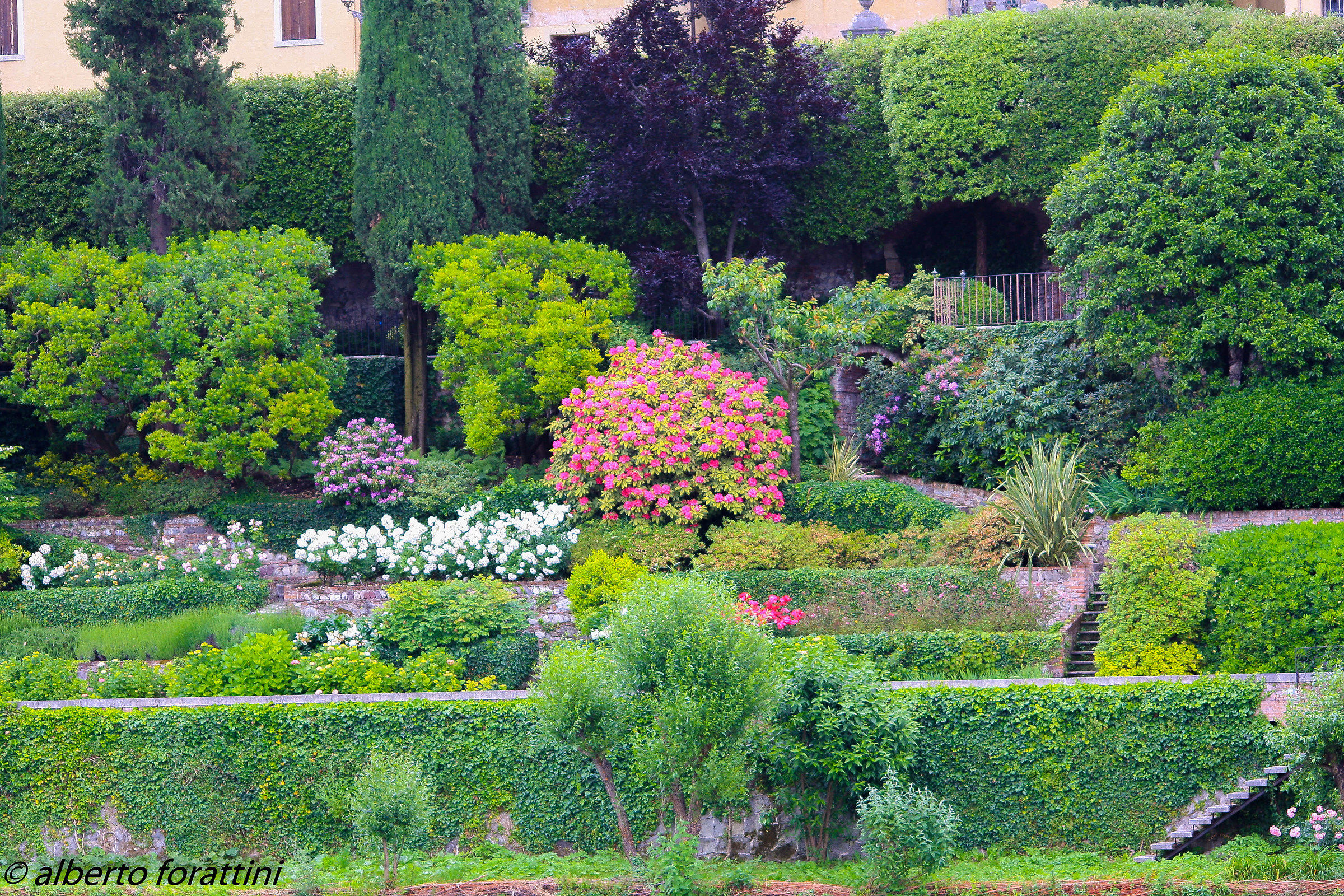 Garden on the shore...