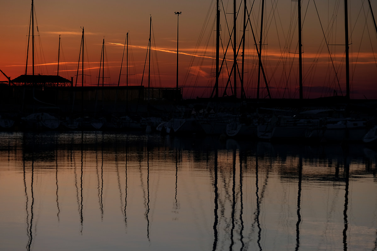 Untitled Photo...