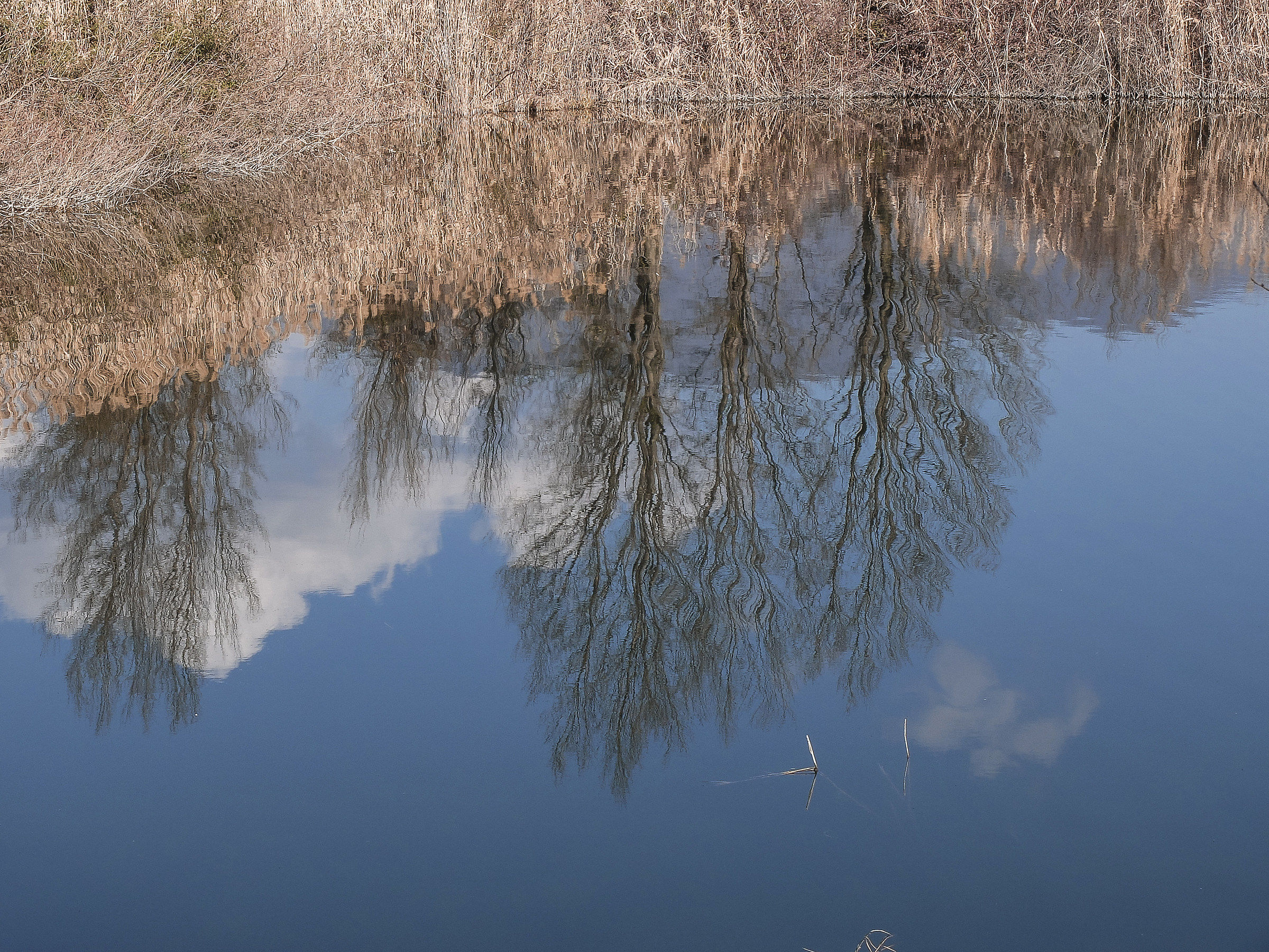 Riflessi2...
