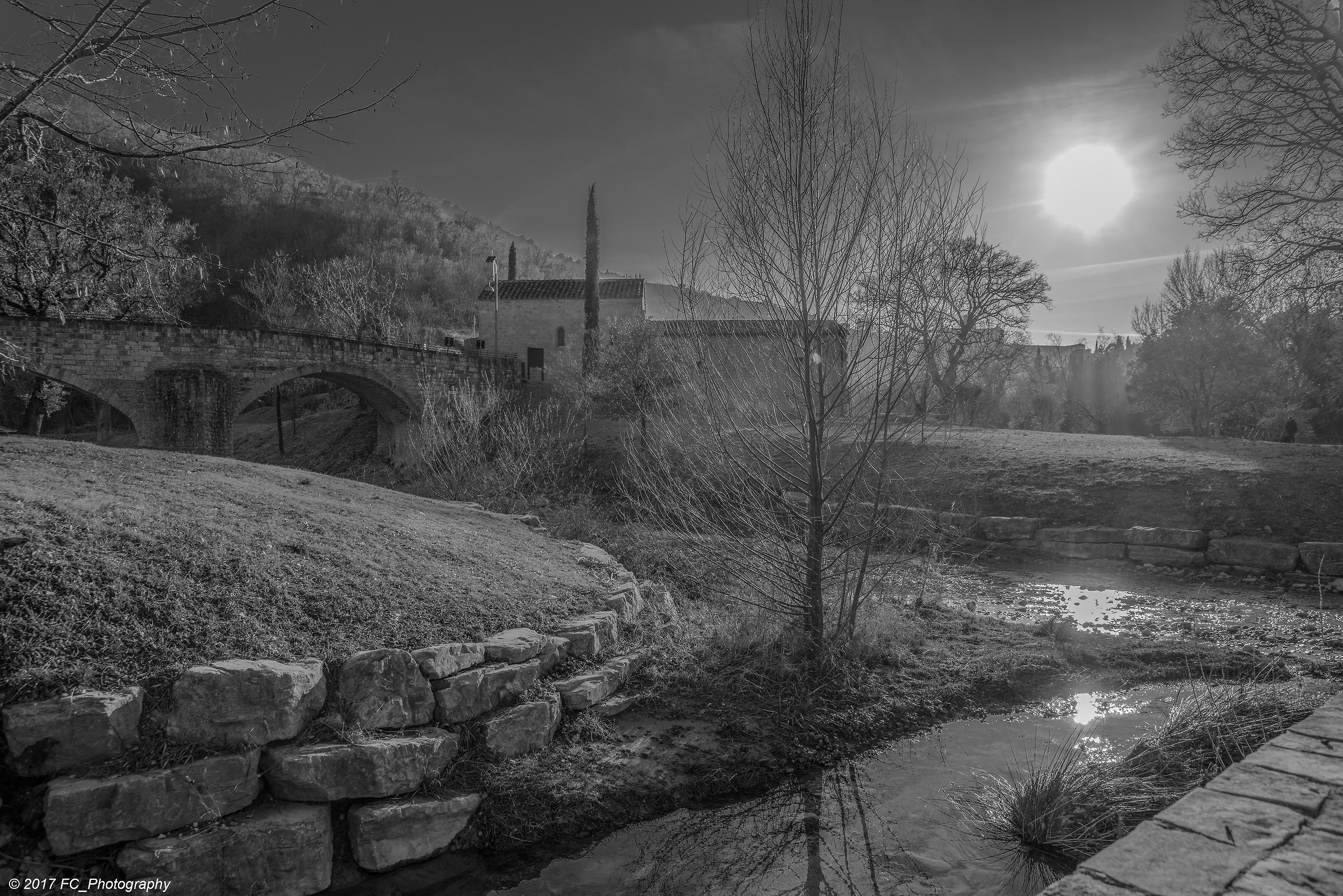 assisi -Bosco di San Francesco-...