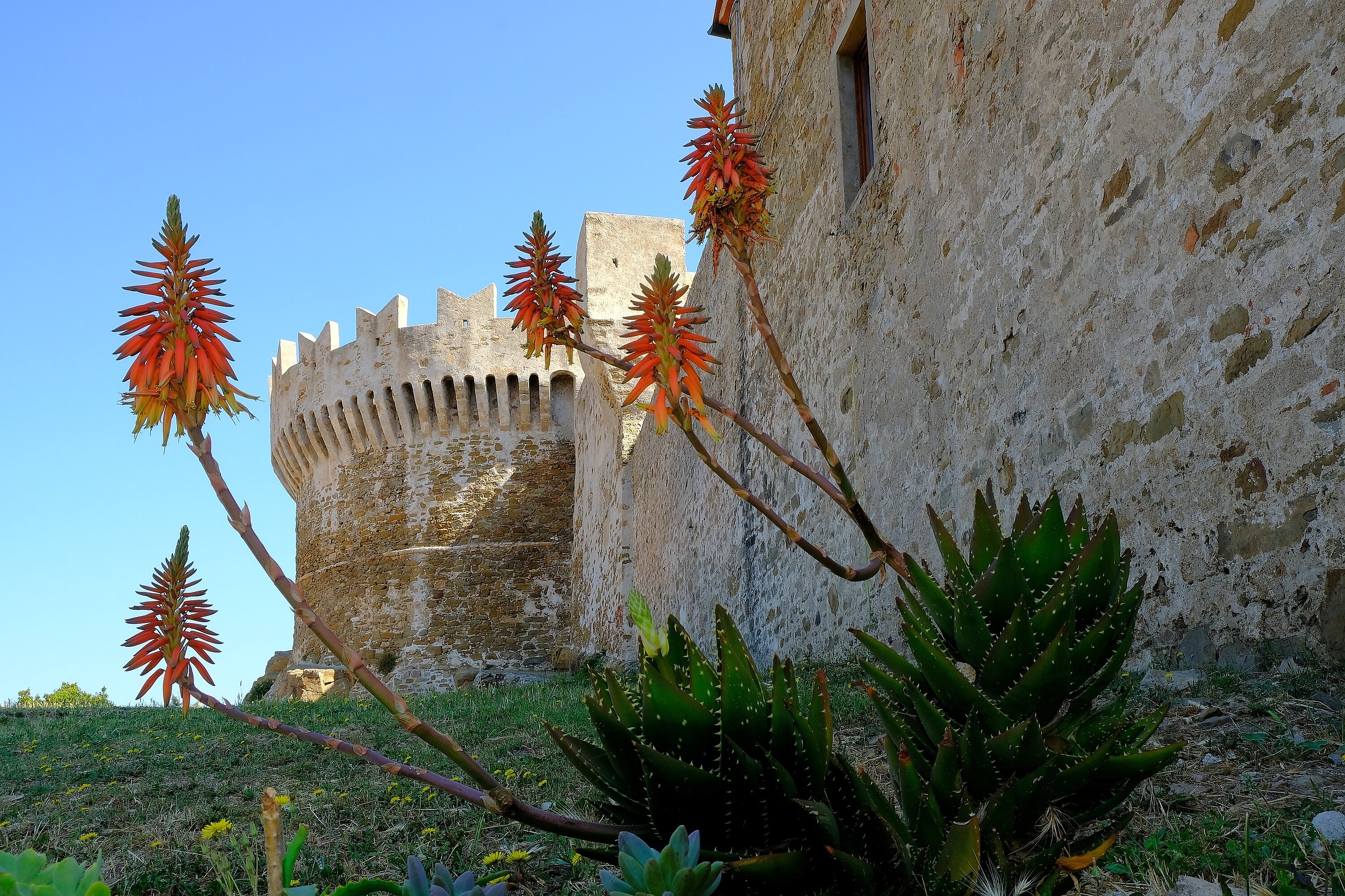 Populonia. The fortress...