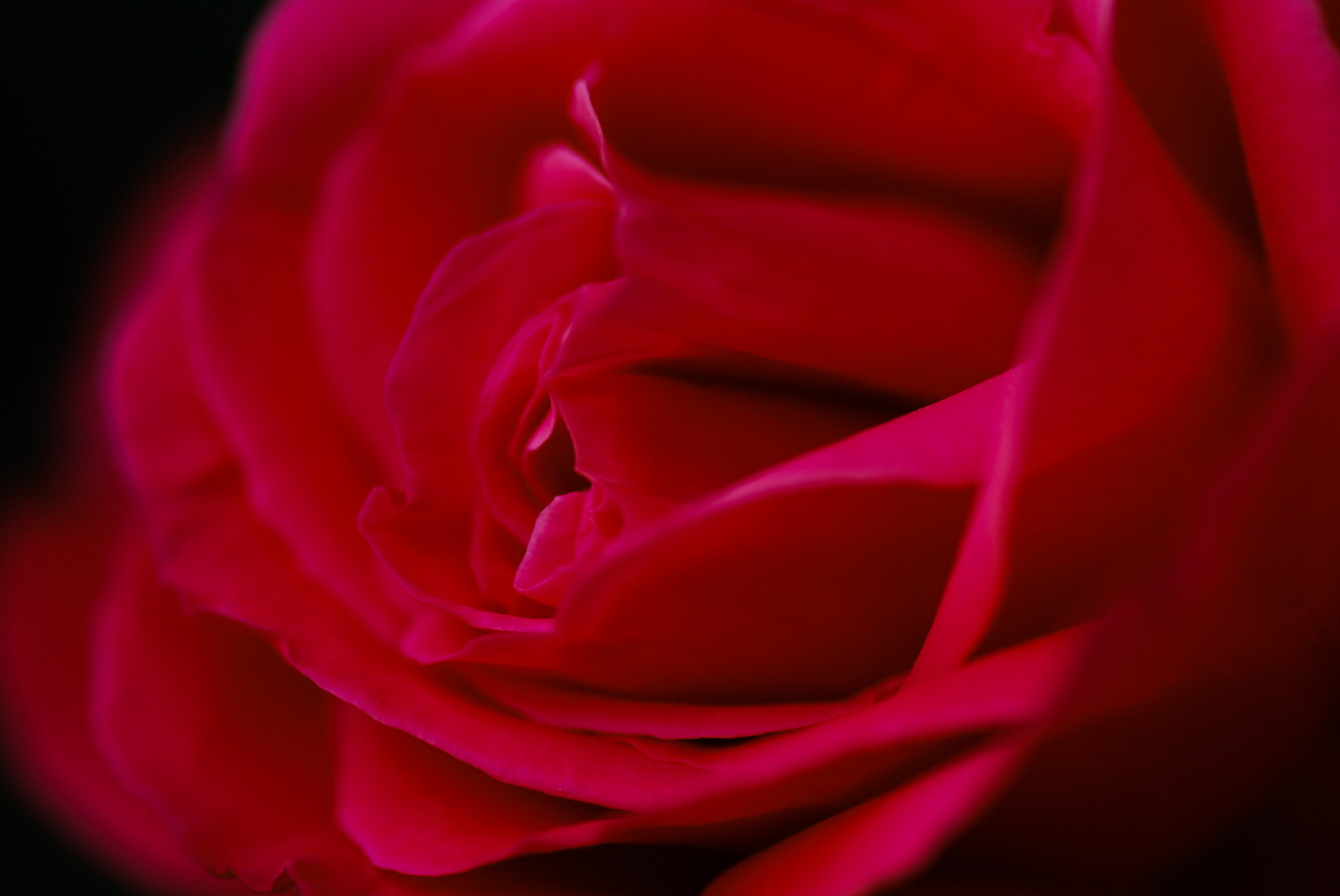 Pink...