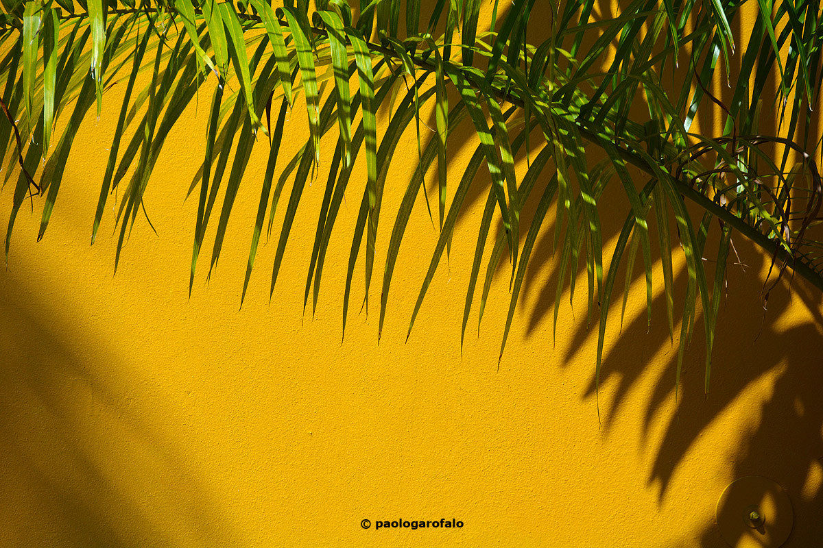 Composition in yellow...