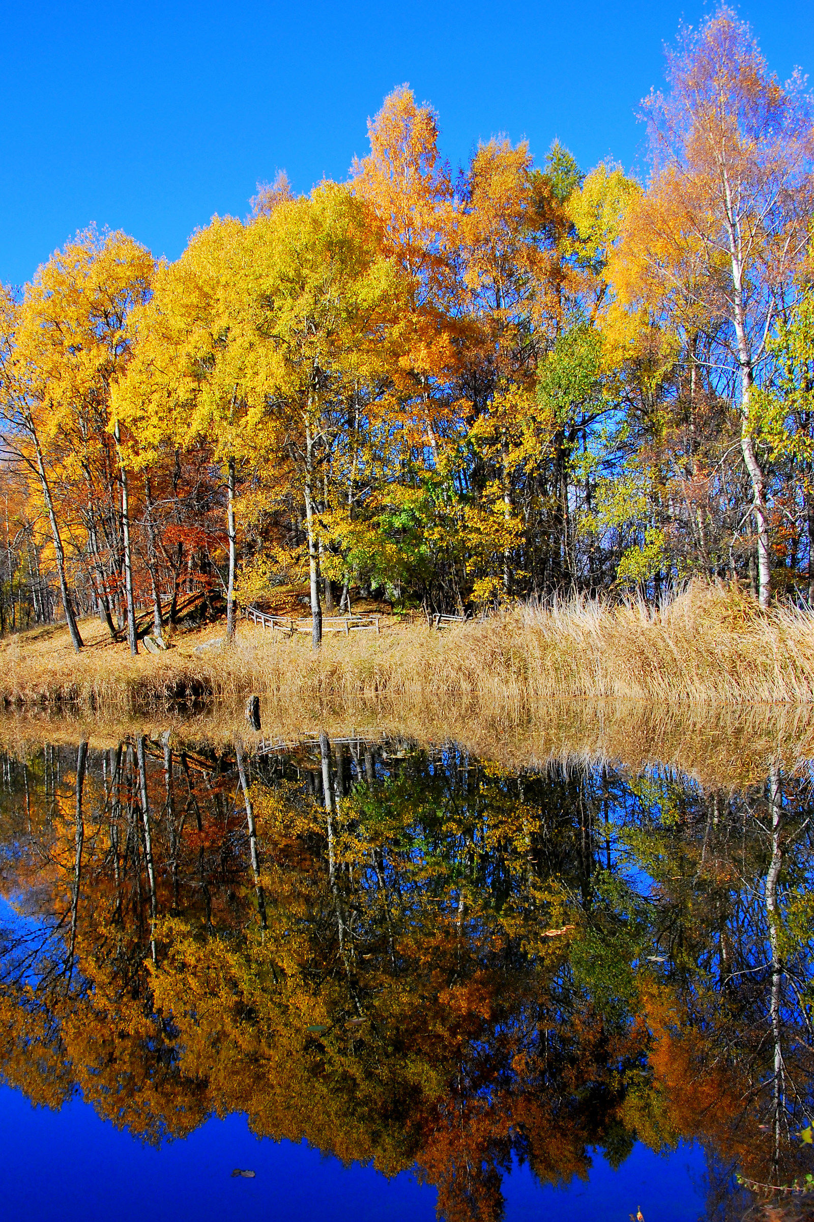 riflessi sul lago...