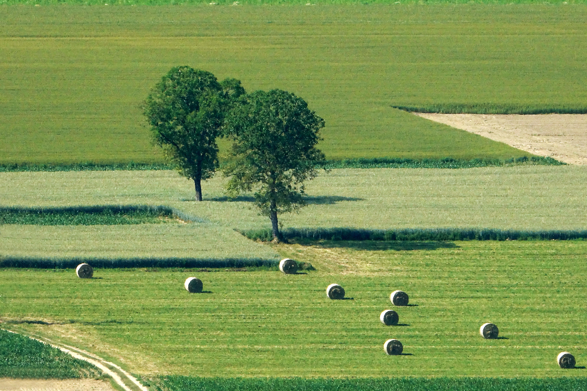 Other geometries in the fields...