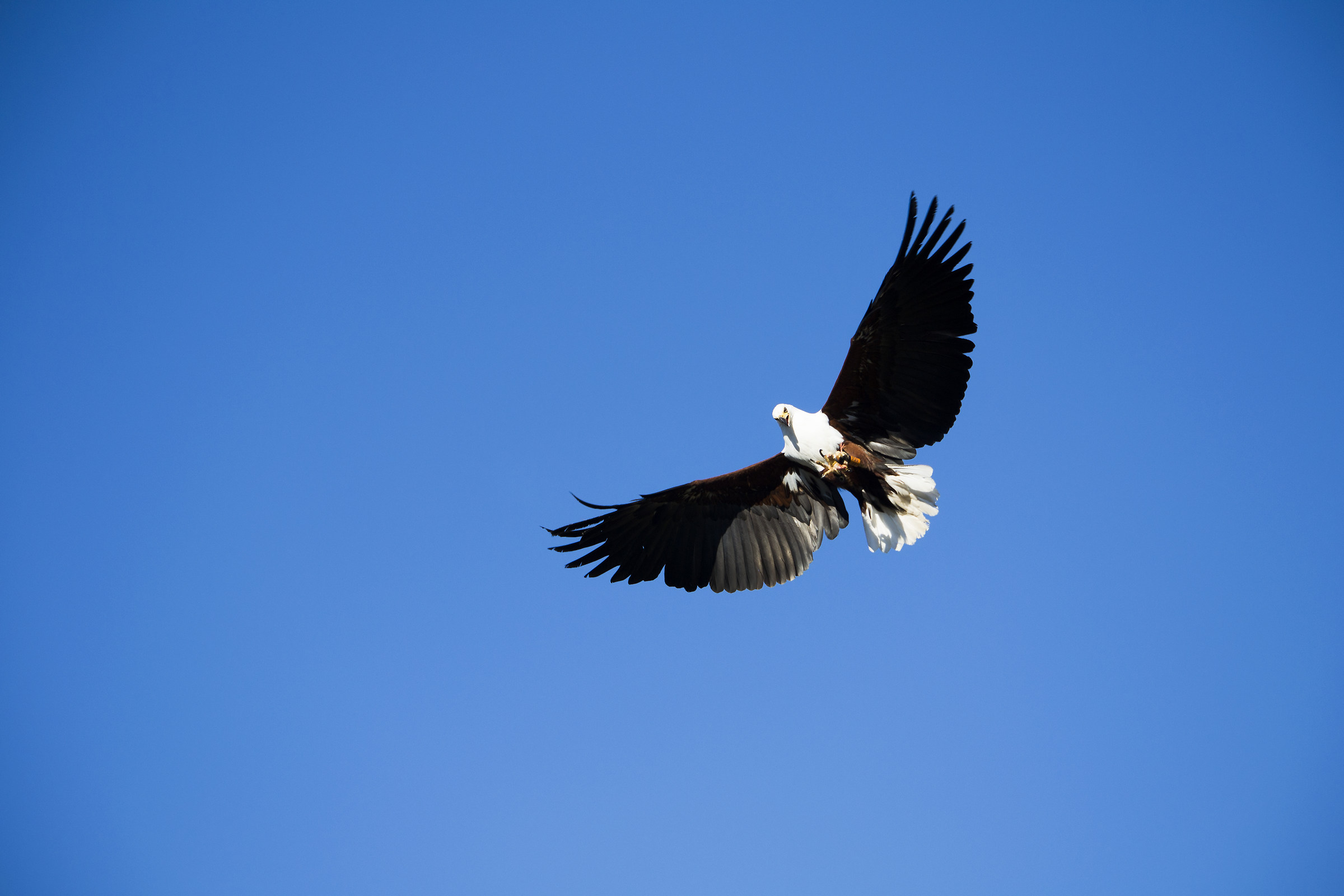 Aquila Bio Park Valencia...