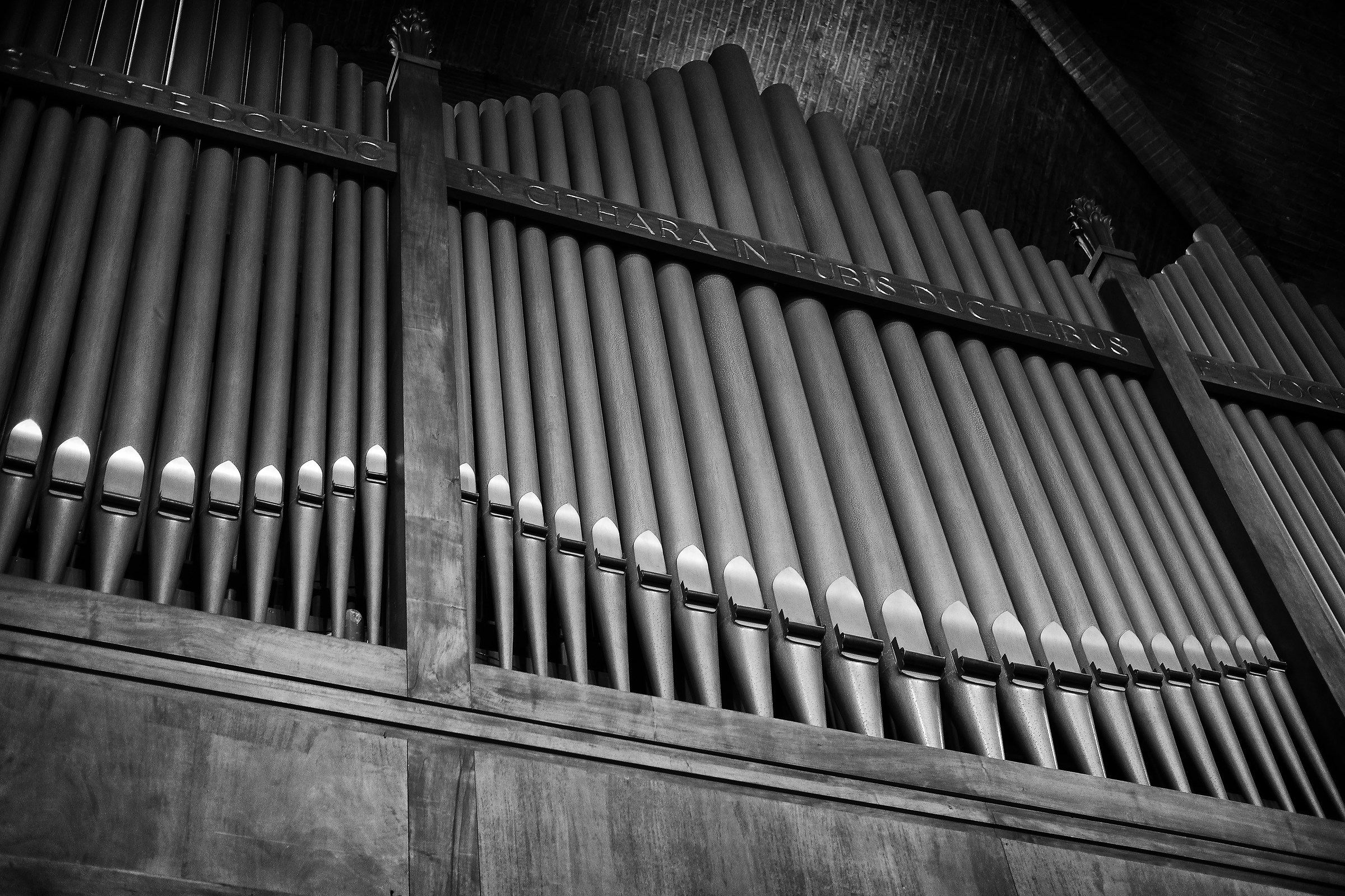 organo principale duomo di Modena...