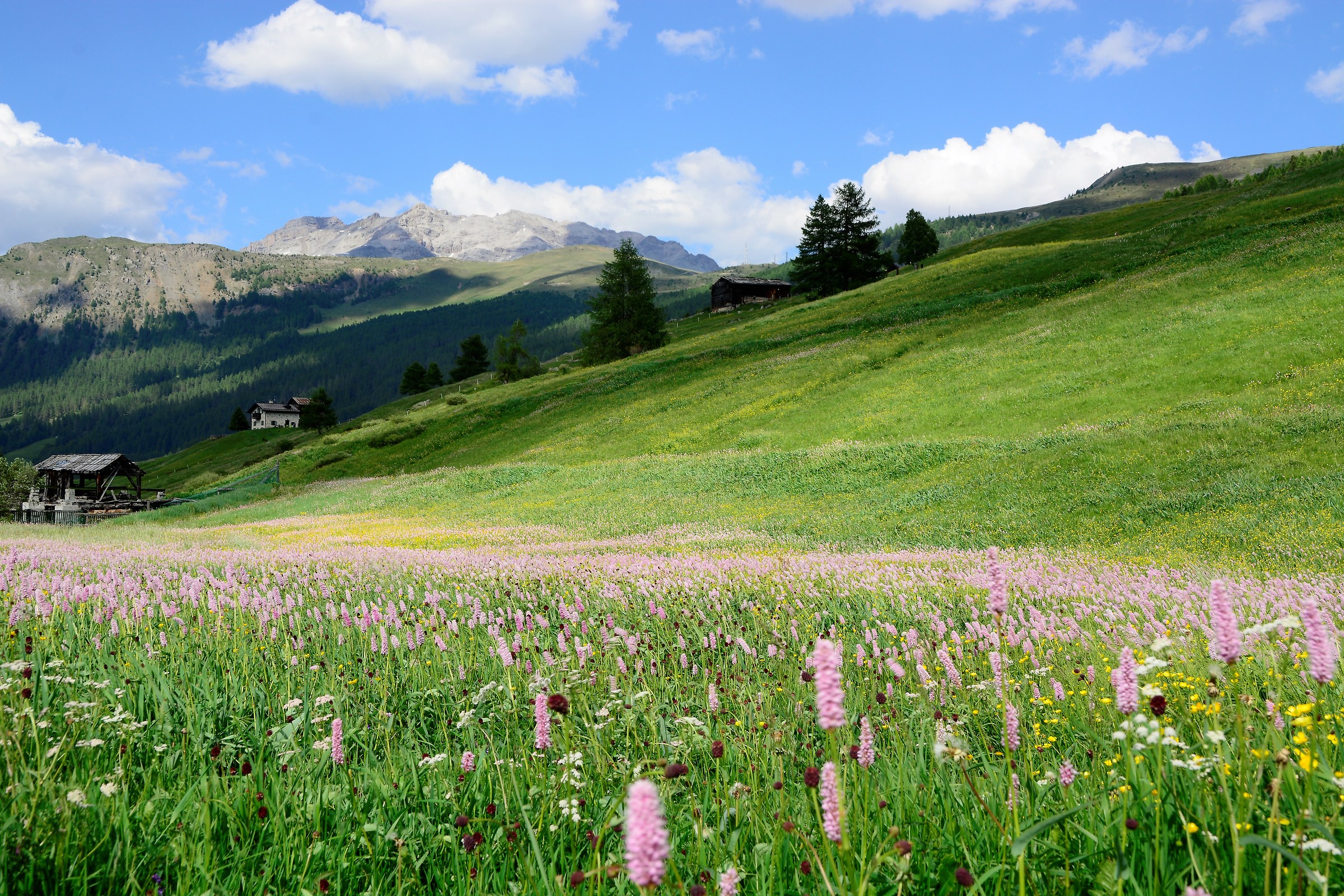 Livigno 2...