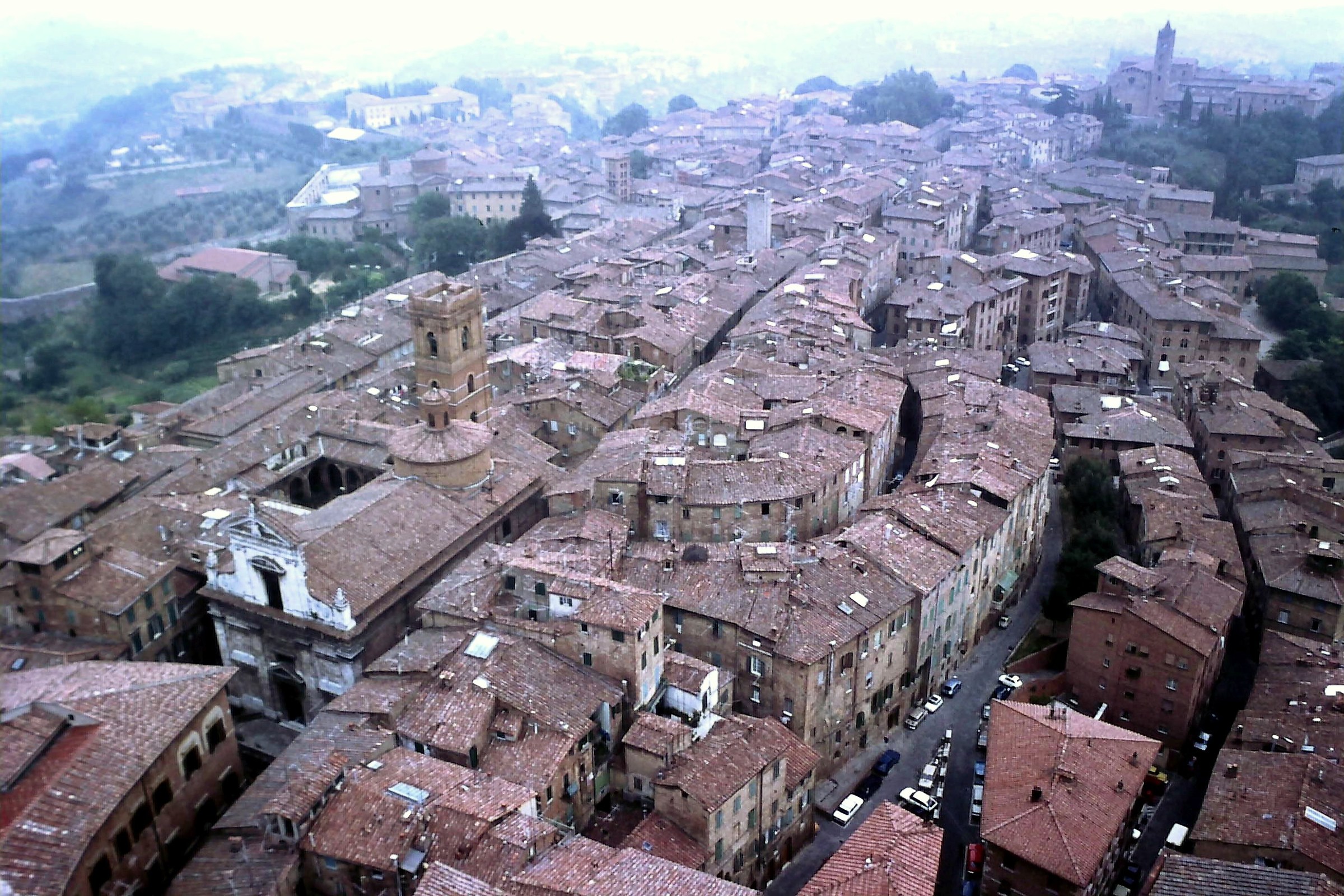 Roofs of Siena...