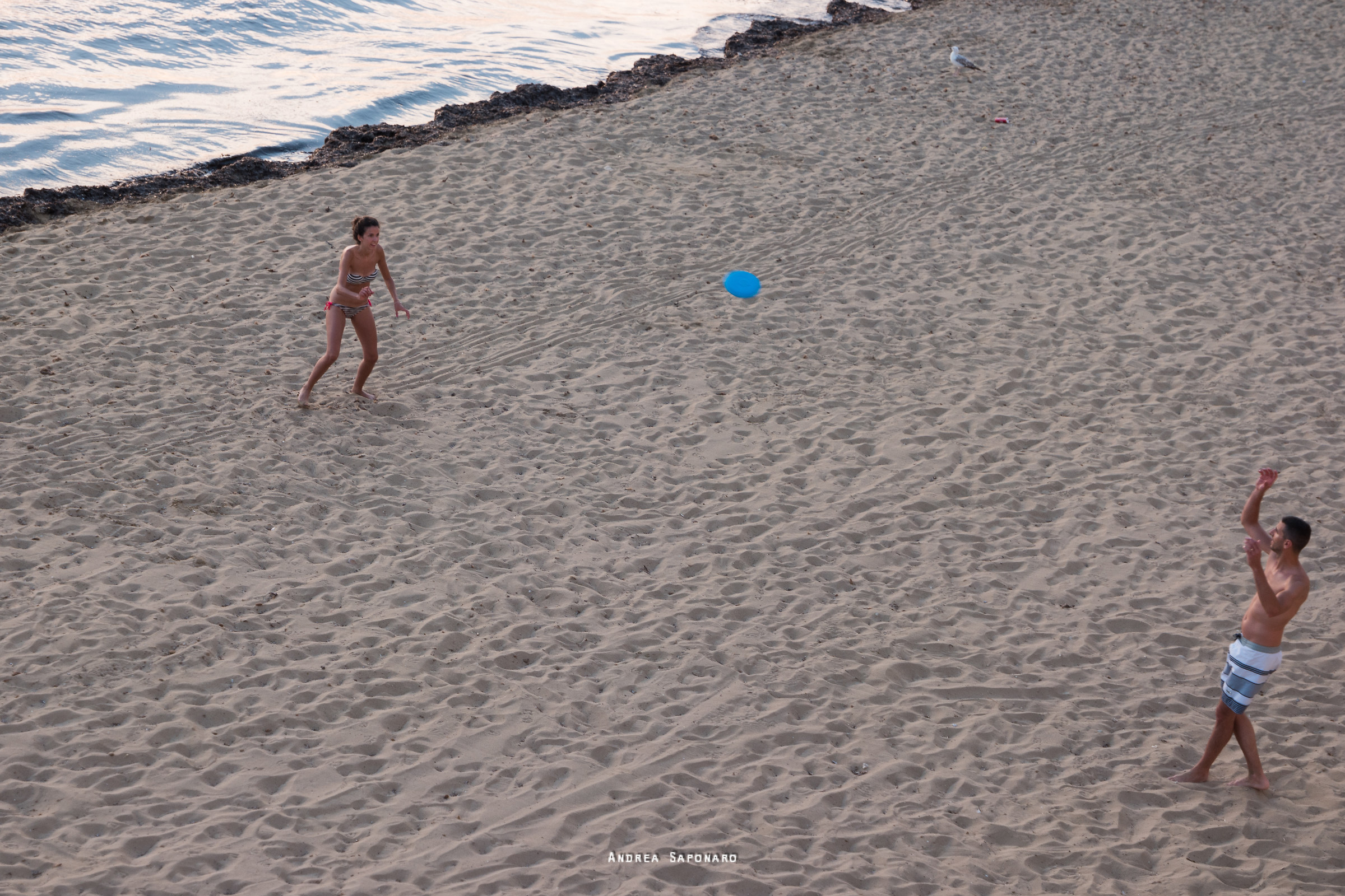 Frisbee - spiaggia della Purità...