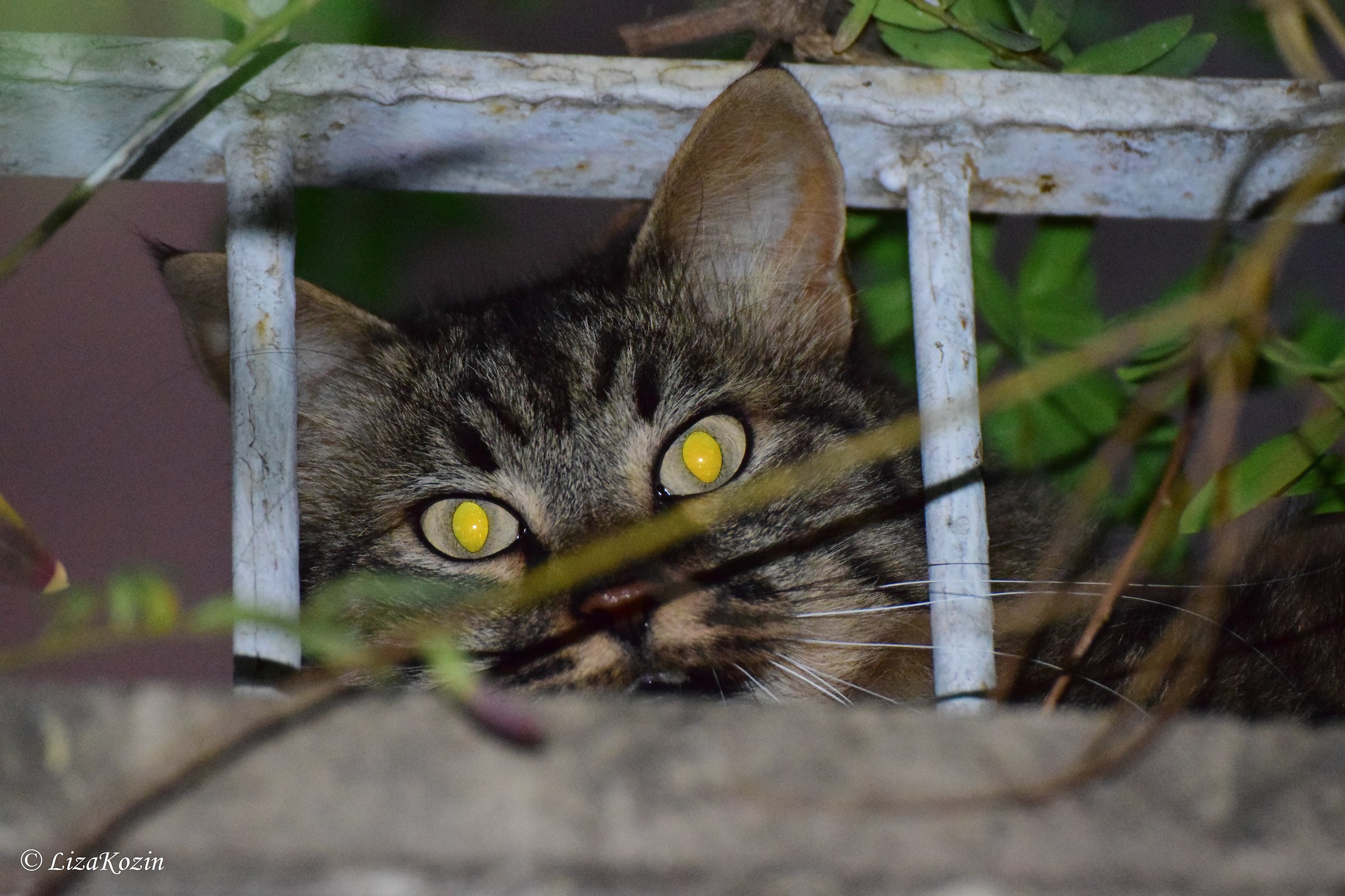 caught...