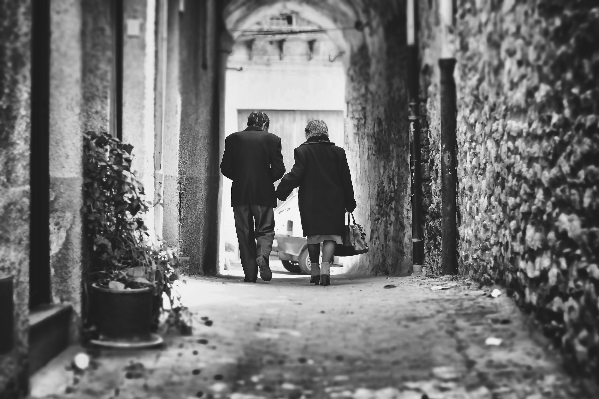 l'amore...