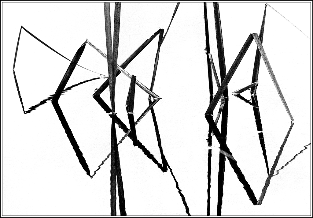 Swamp geometries...