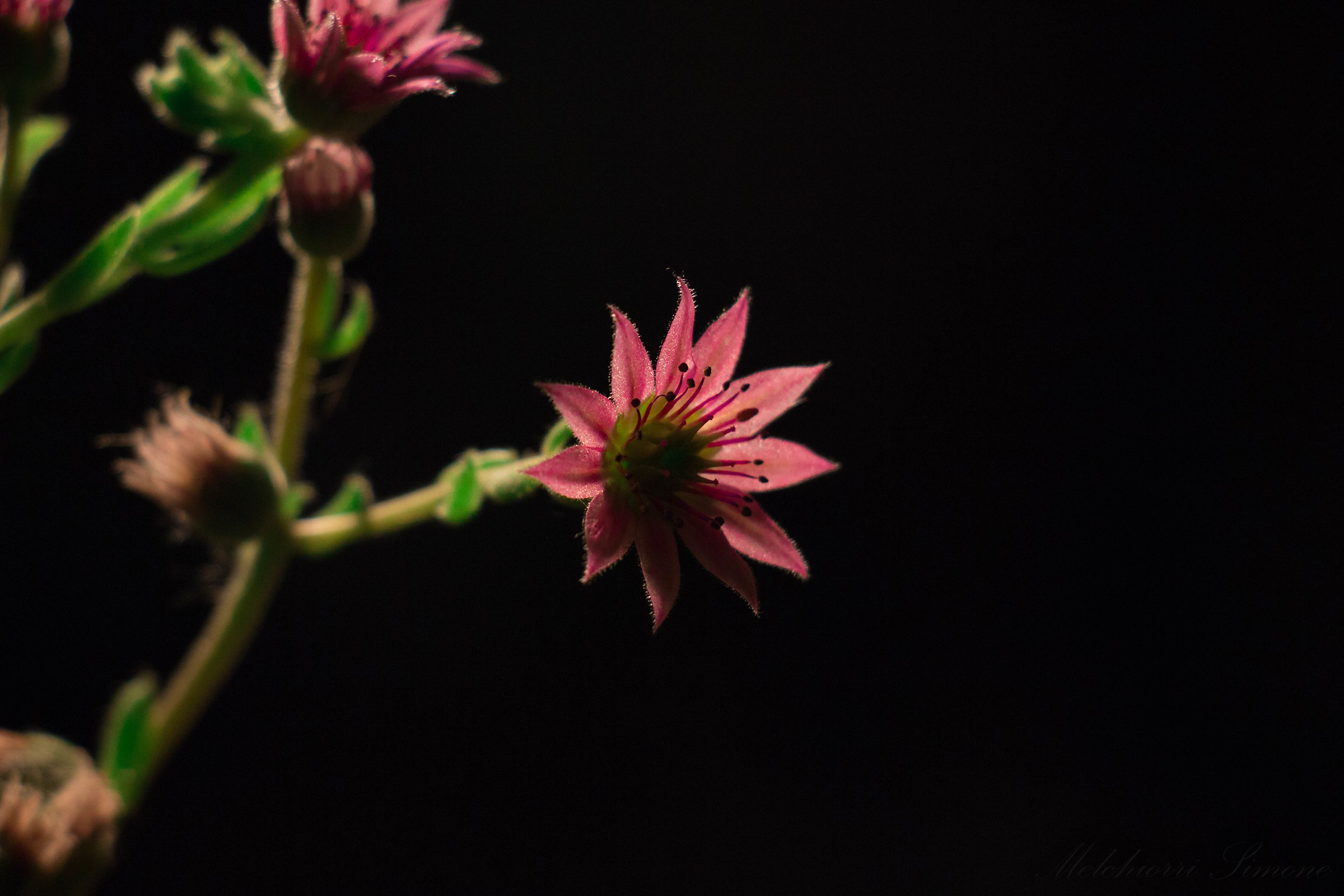 Untitled Photo...