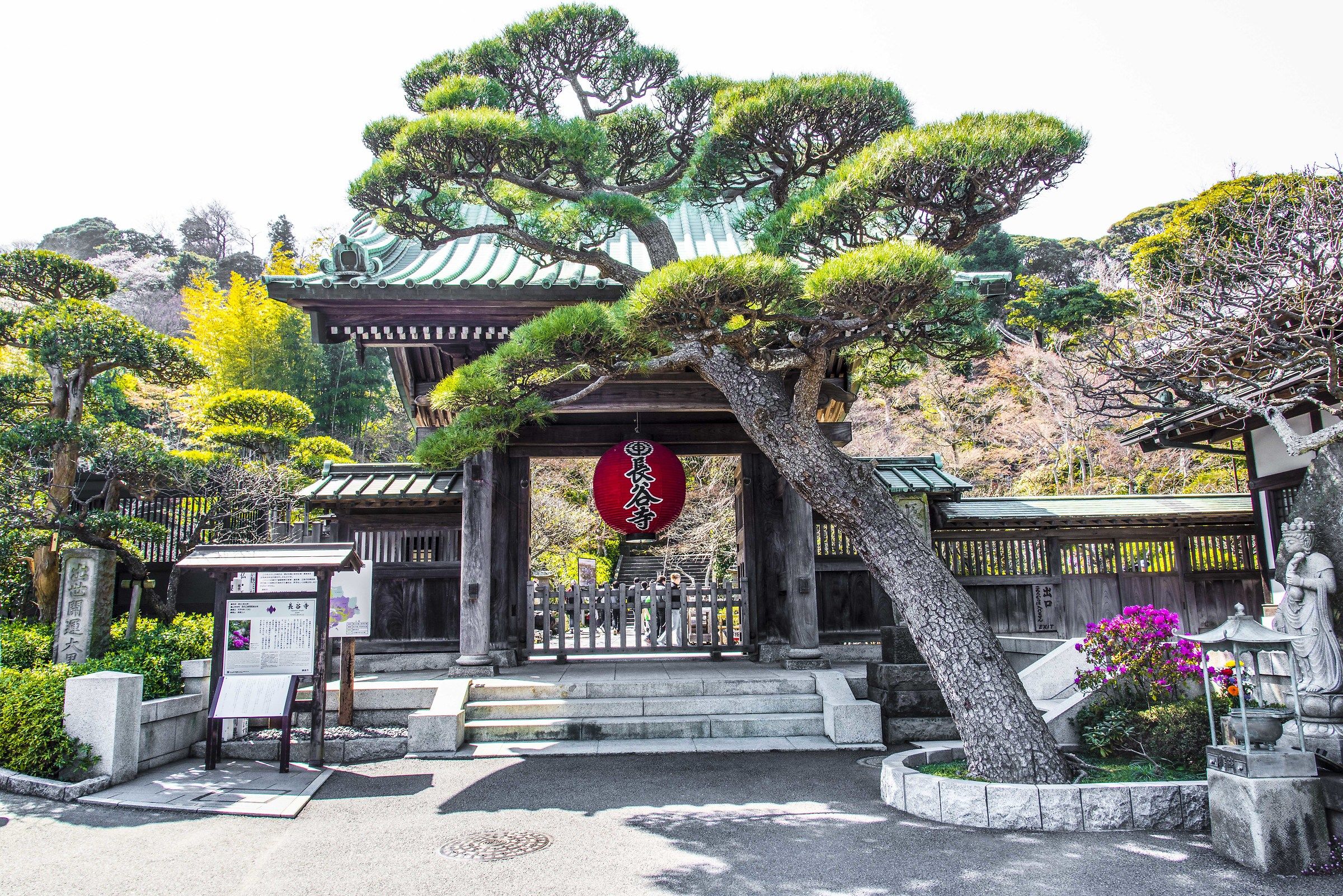 Kamakura - Daibutsu Hase-Dera Temple...