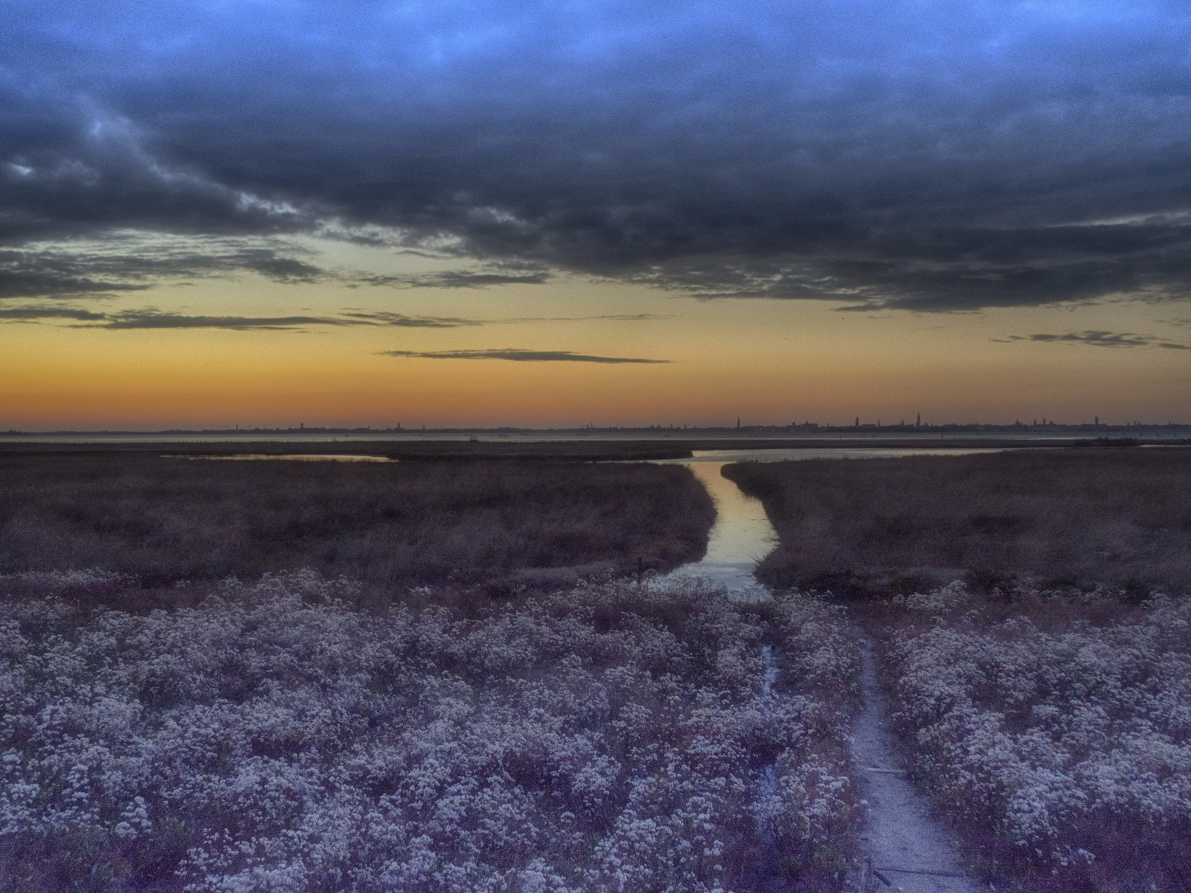 Campalto (ve) - Lagoon at dawn...