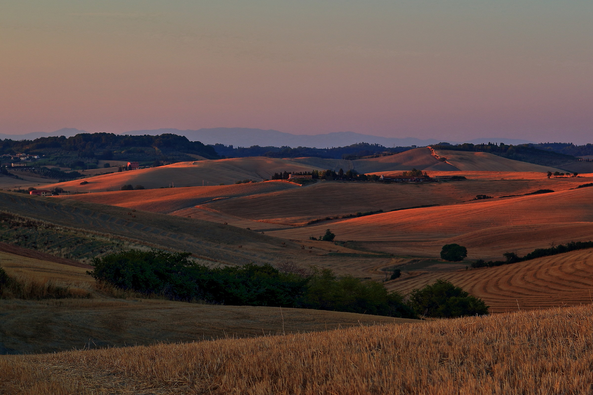Campi di grano dopo la mietitura al tramonto (Lorenzana...