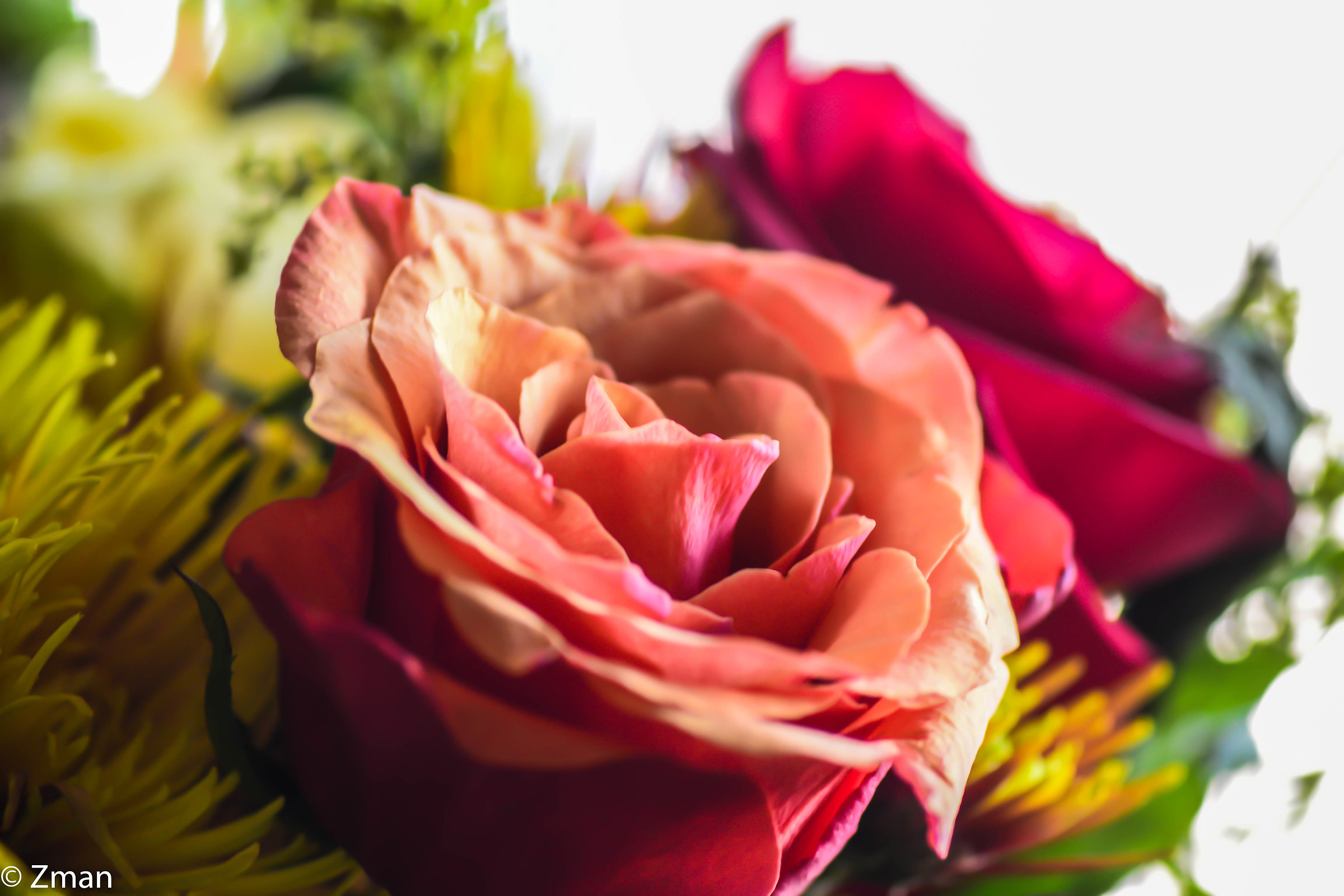 Flowers in a Bouquet...