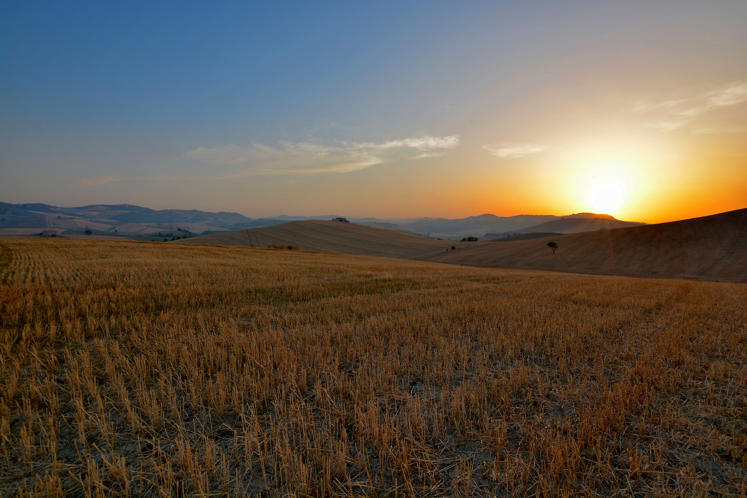 Wheat and Sunset...