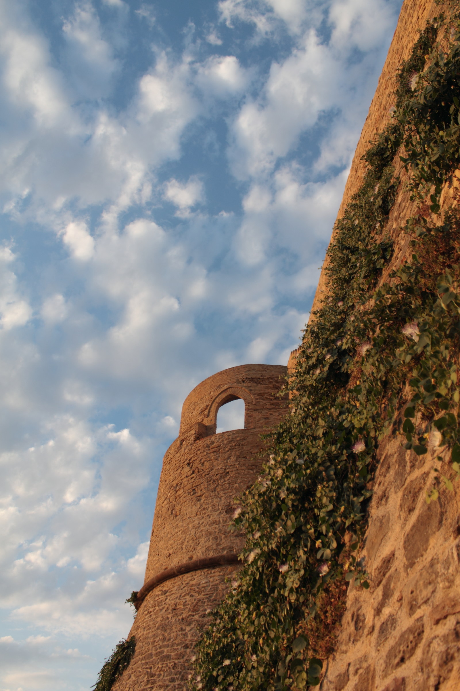 Detail of the Aragonese Castle...