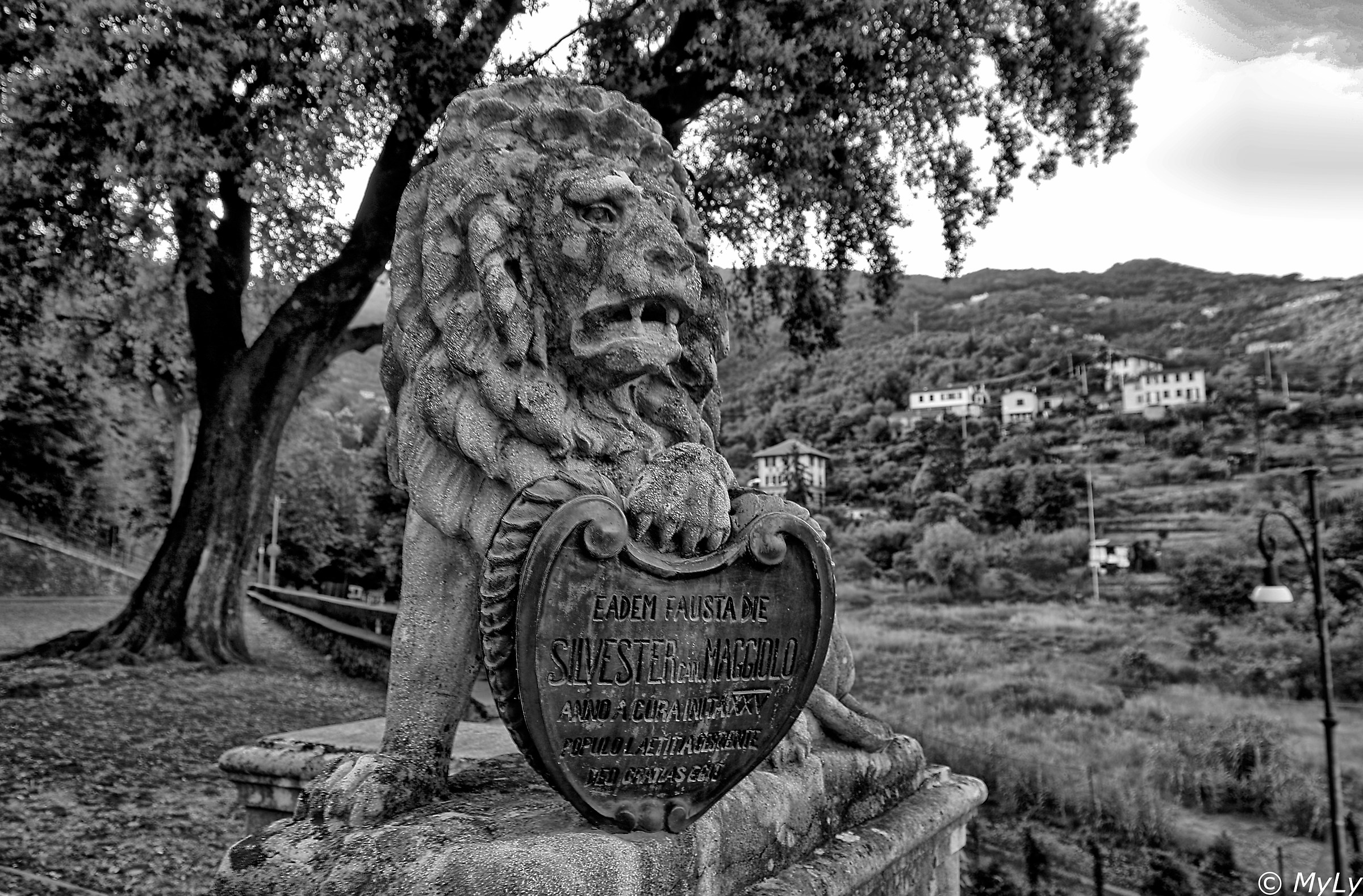 Ferragosto by lions...