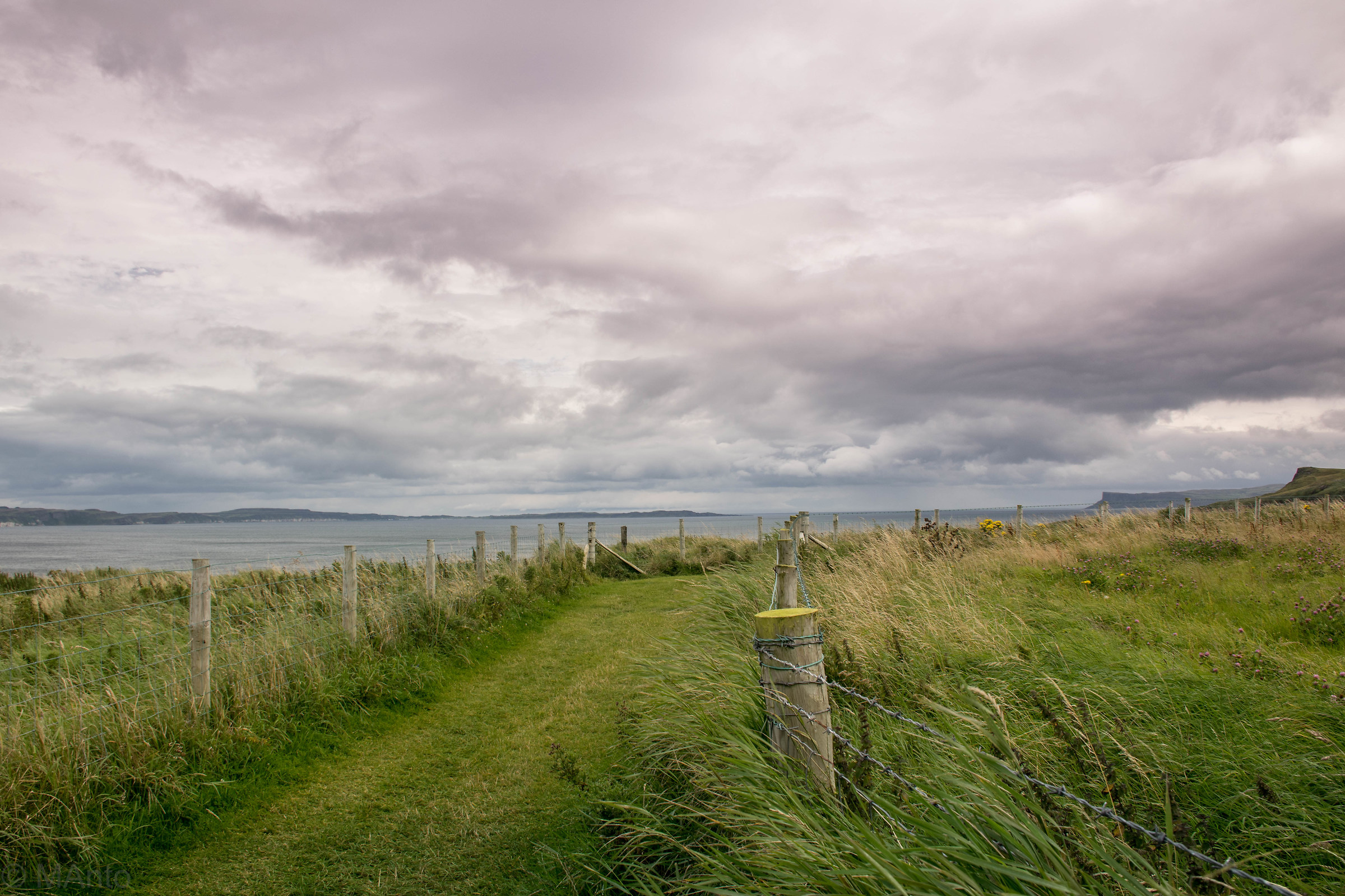 Wild Ireland...