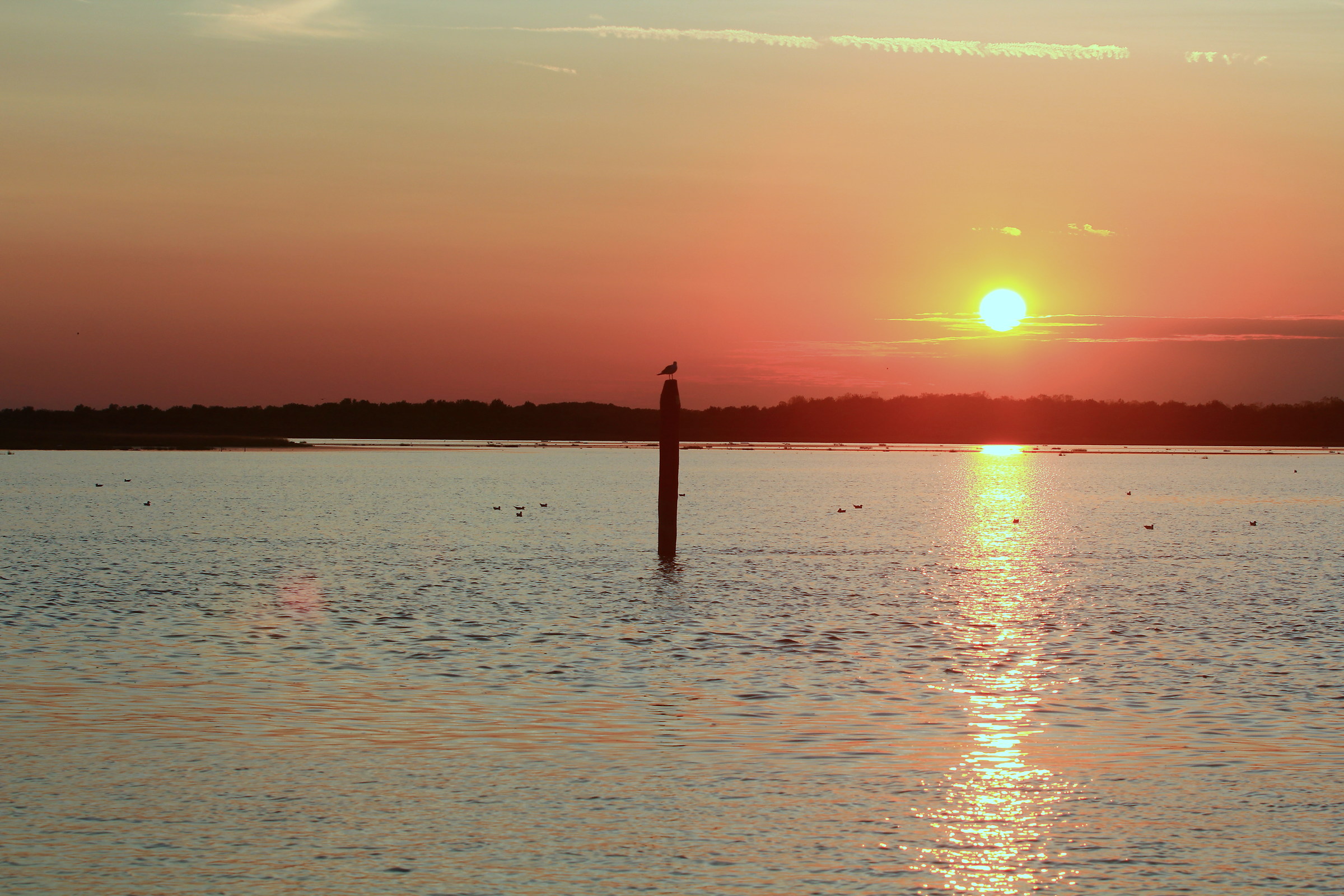 Sunset in the lagoon...