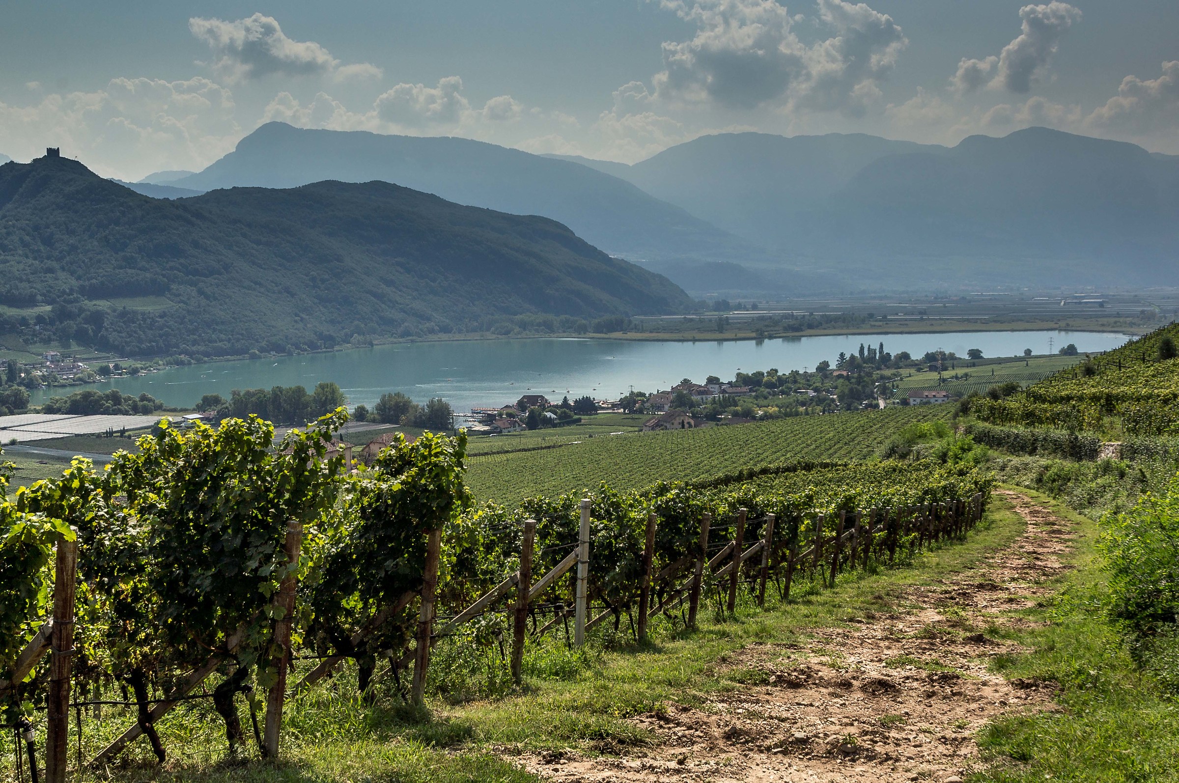 Elena Walch, Castel Ringberg vineyard and Lake Caldaro...