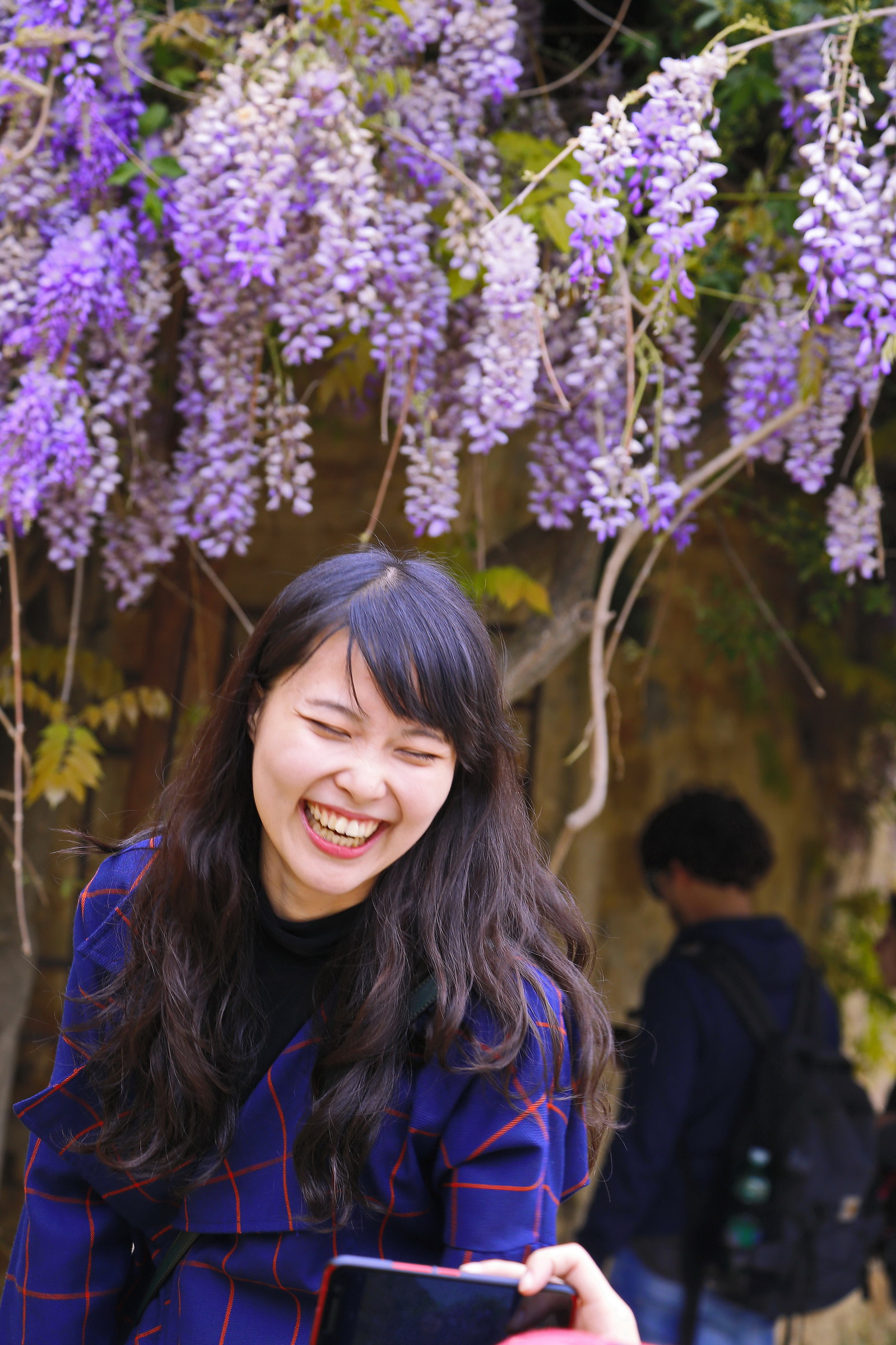 Laugh under the wisteria...