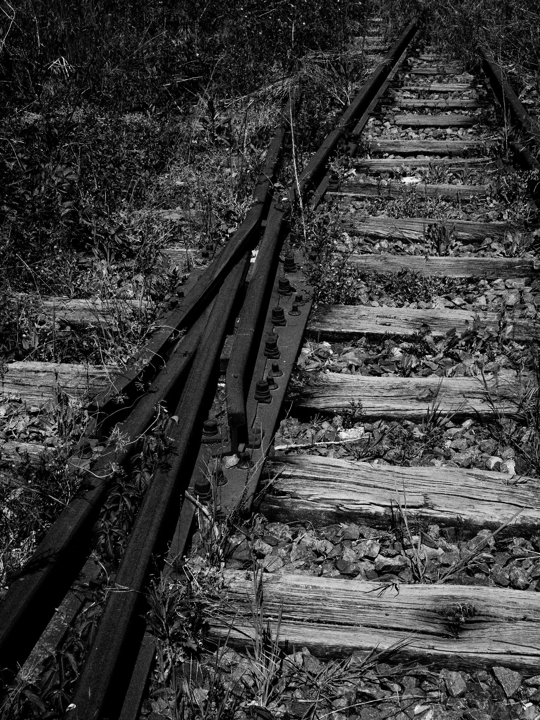 Old rail .... now dead...