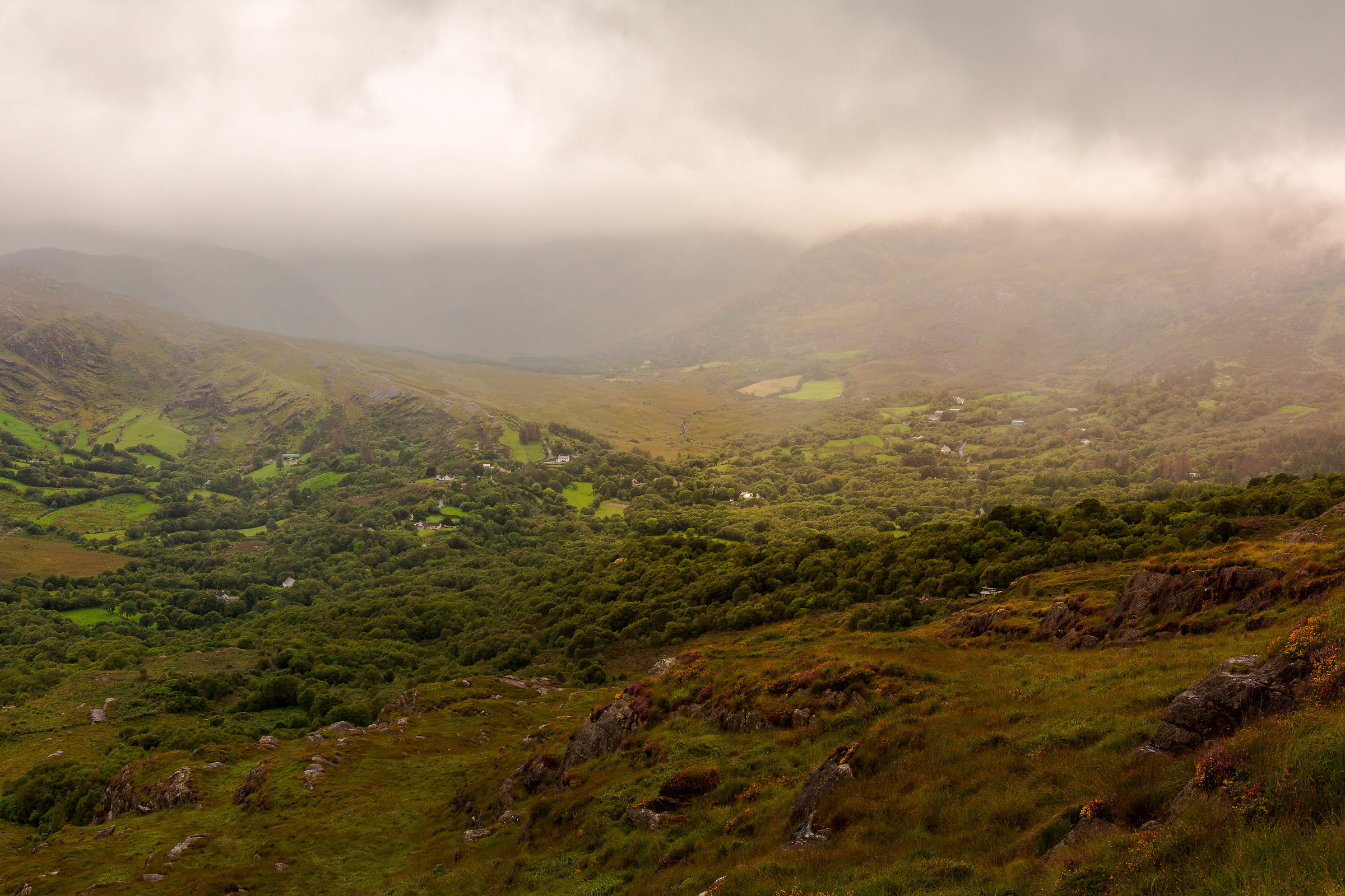 Irlanda nella nebbia...