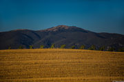 [Photo]