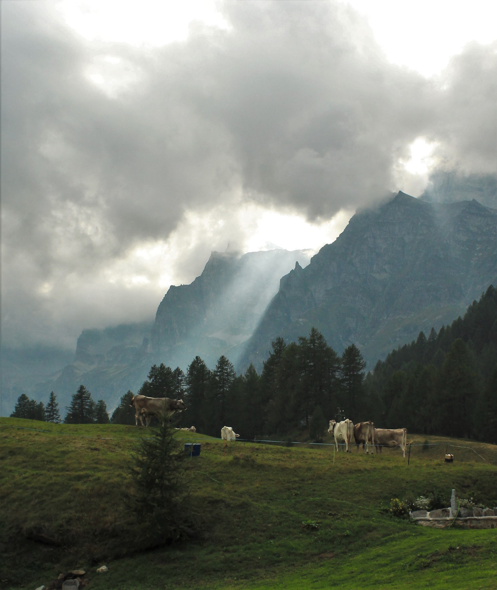 M'illumino d'immenso...