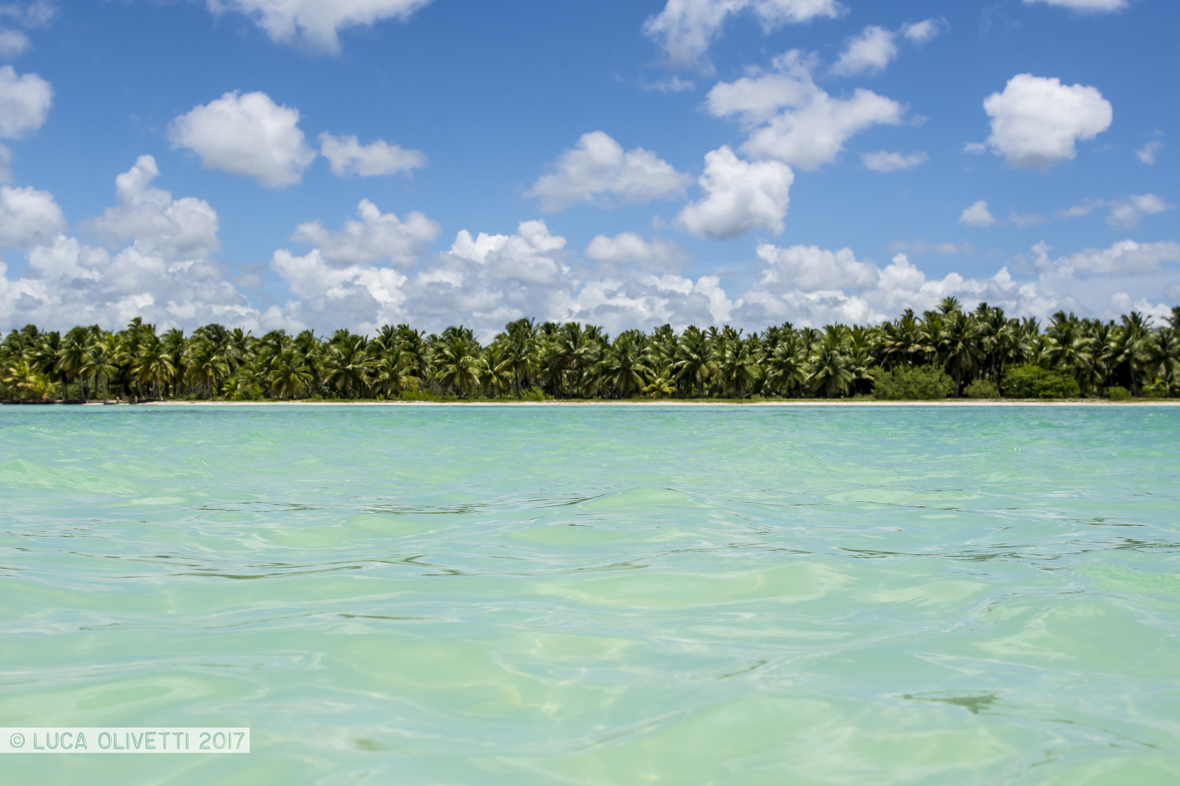 Isla Saona, Republica Dominicana...