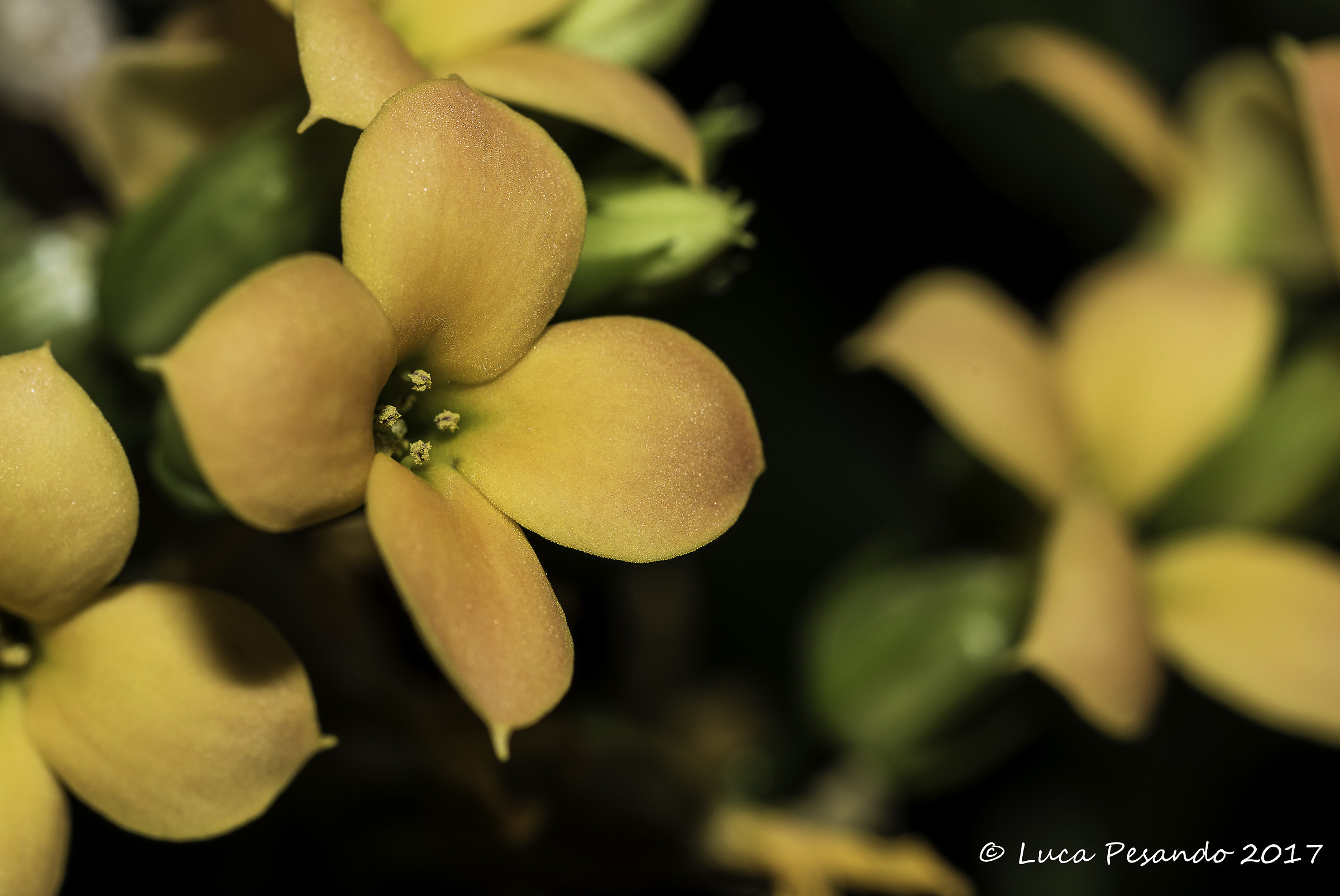 Untitled Photo...