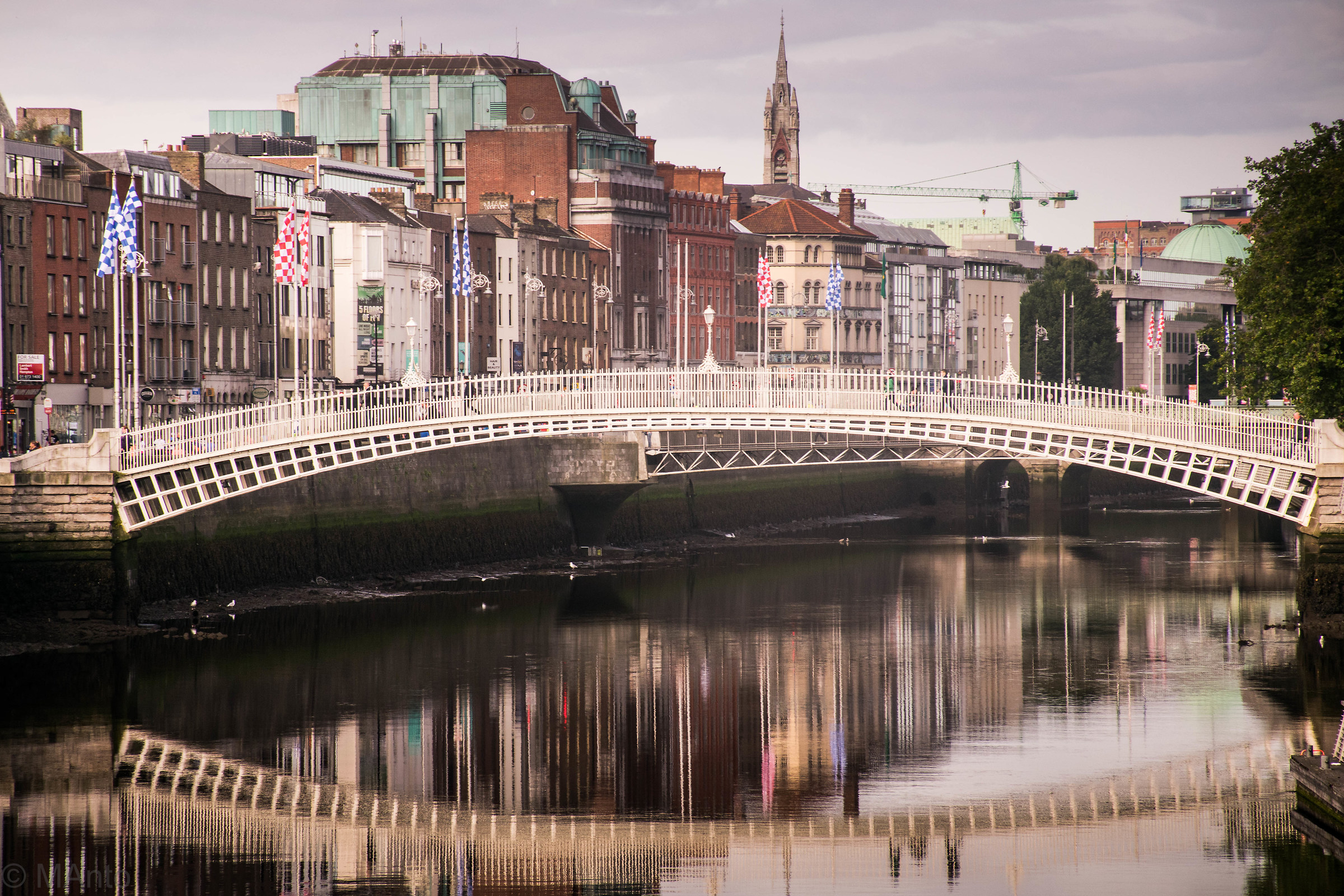 Dublin Bridges - Has Penny Bridge...