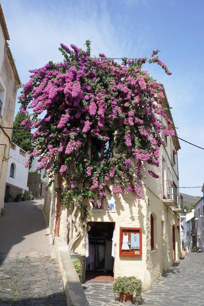 La casa dei fiori, Cadaquèes....