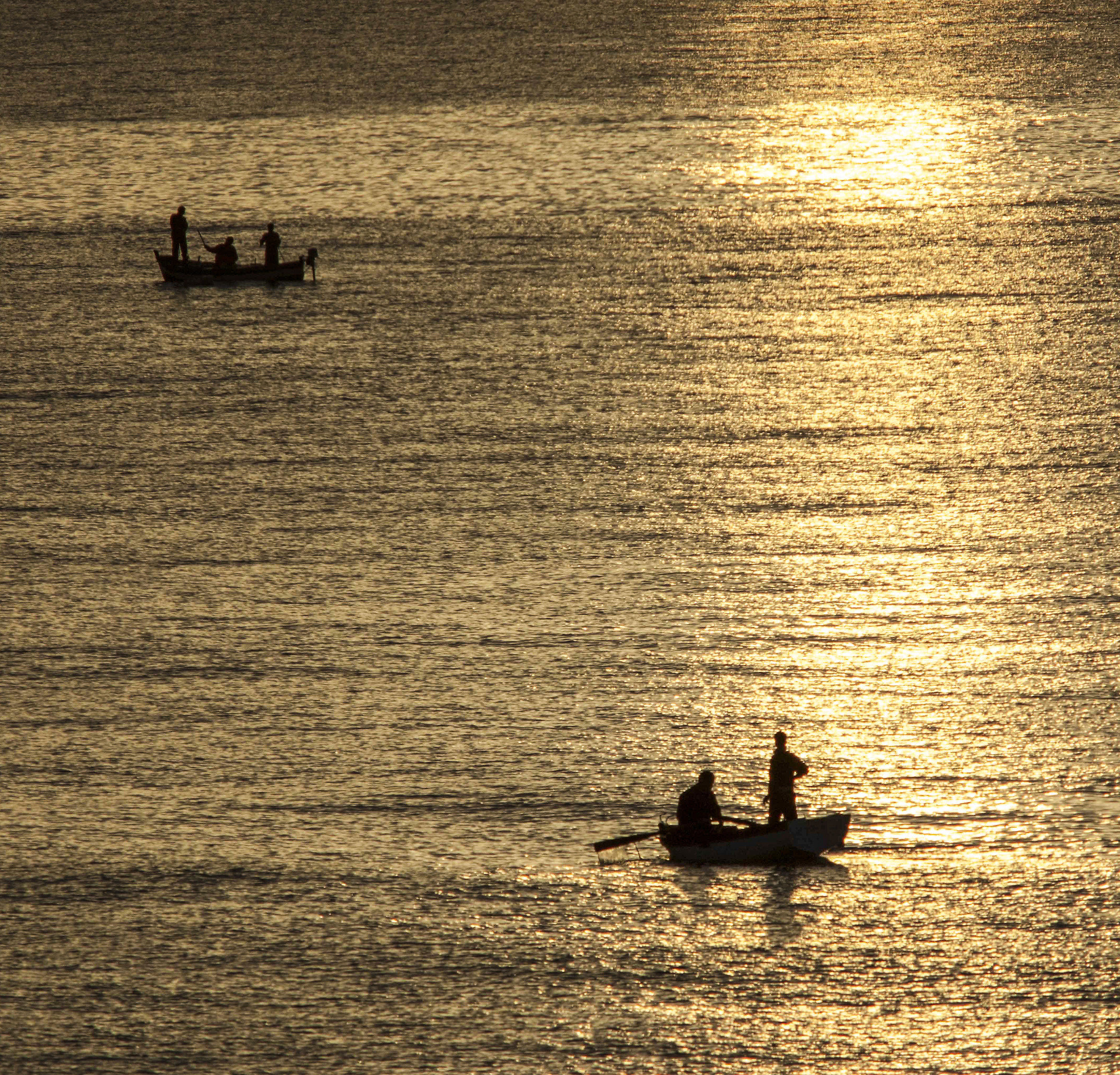 Fishing at dawn...