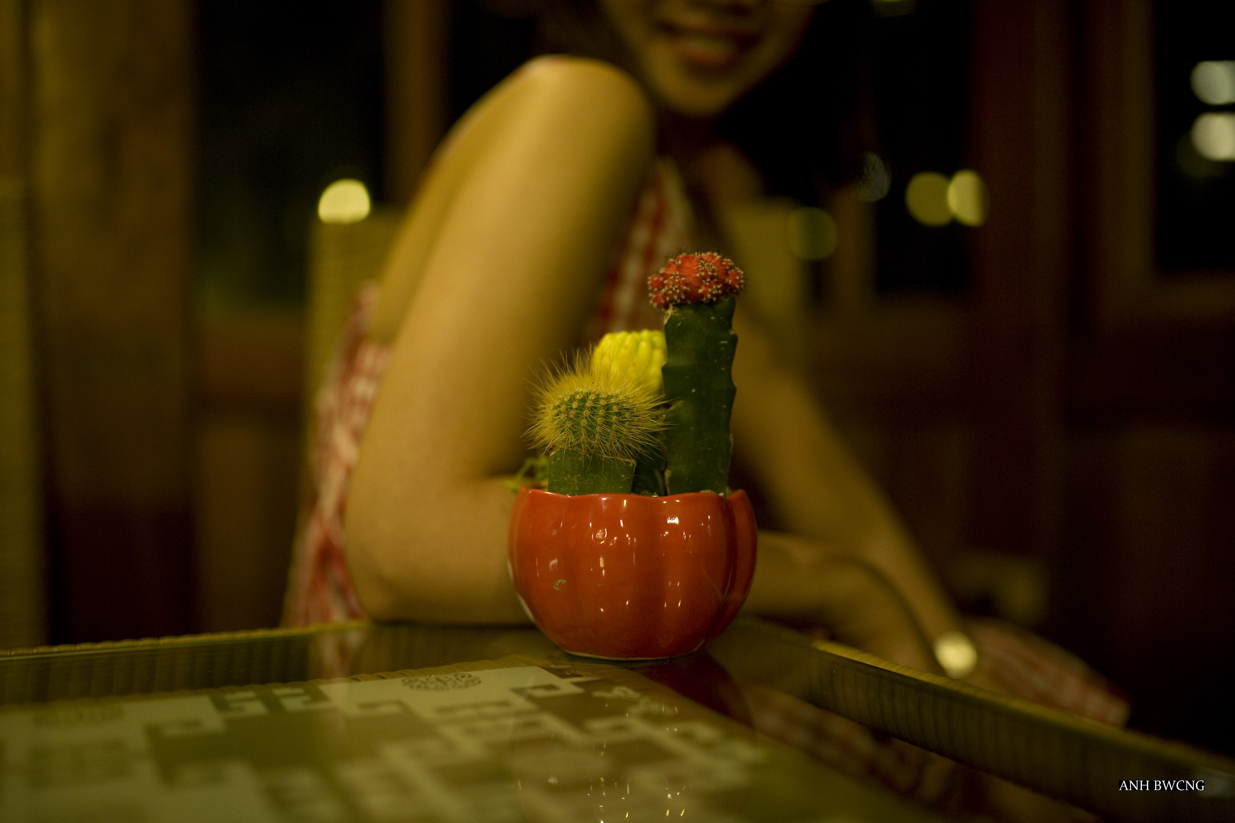 Woman Beside The Cactus...