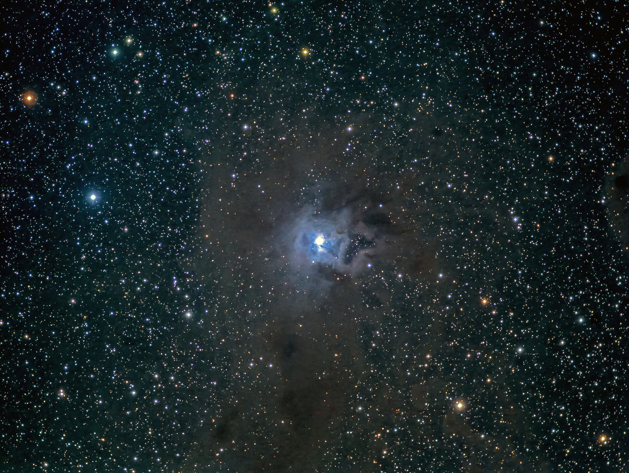 Iris Nebula NGC 7023...