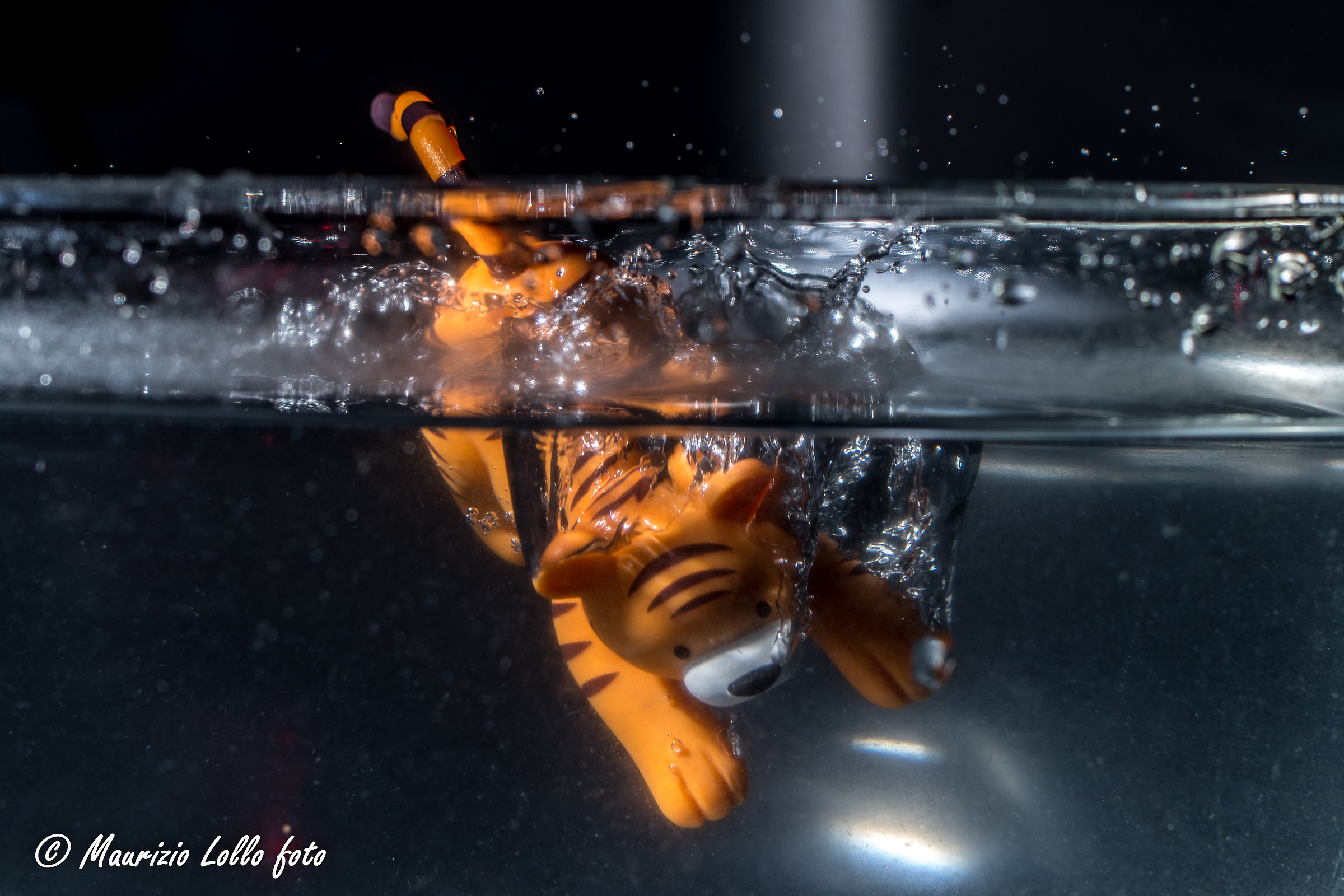 Tigger in the water!...