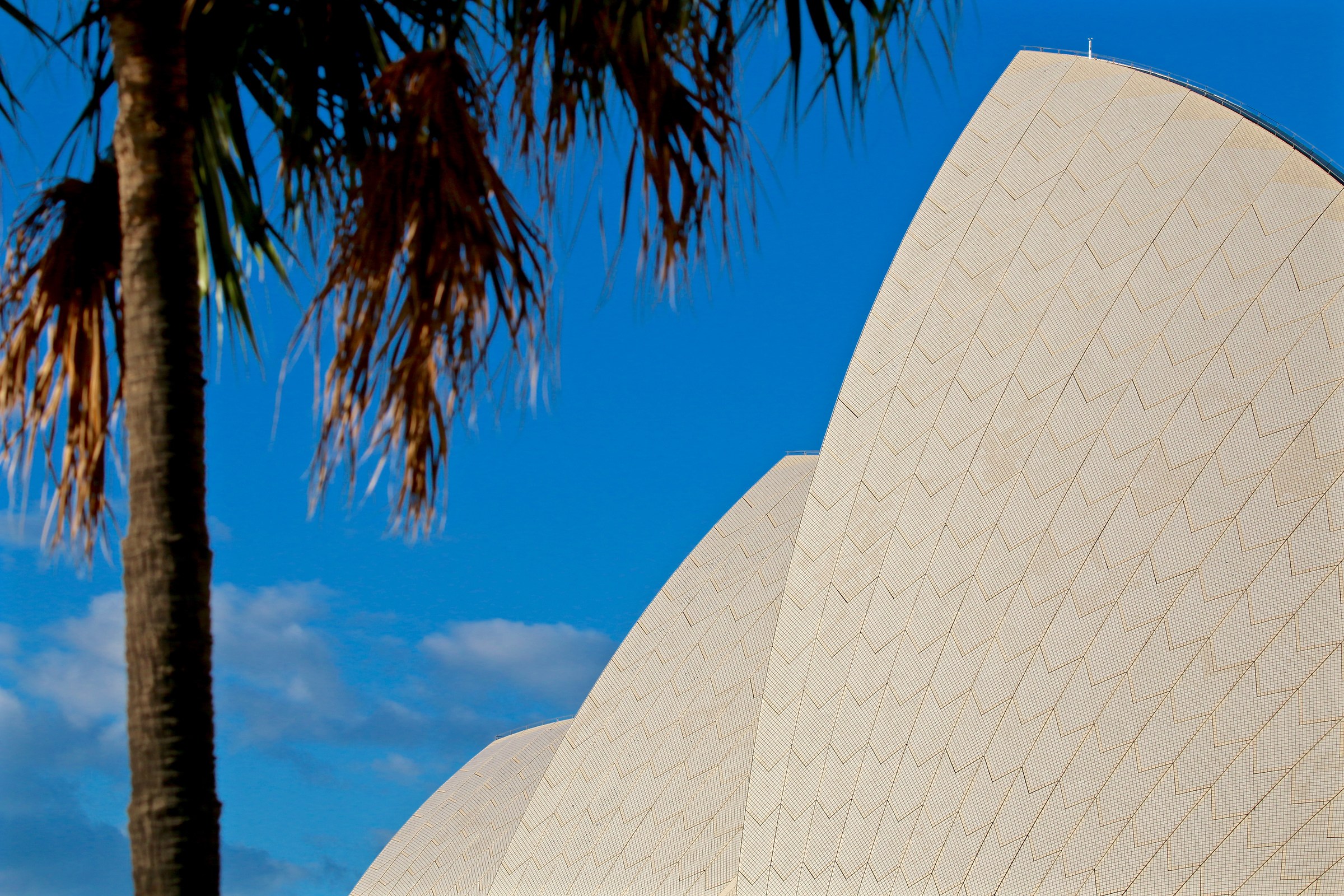 opera house...